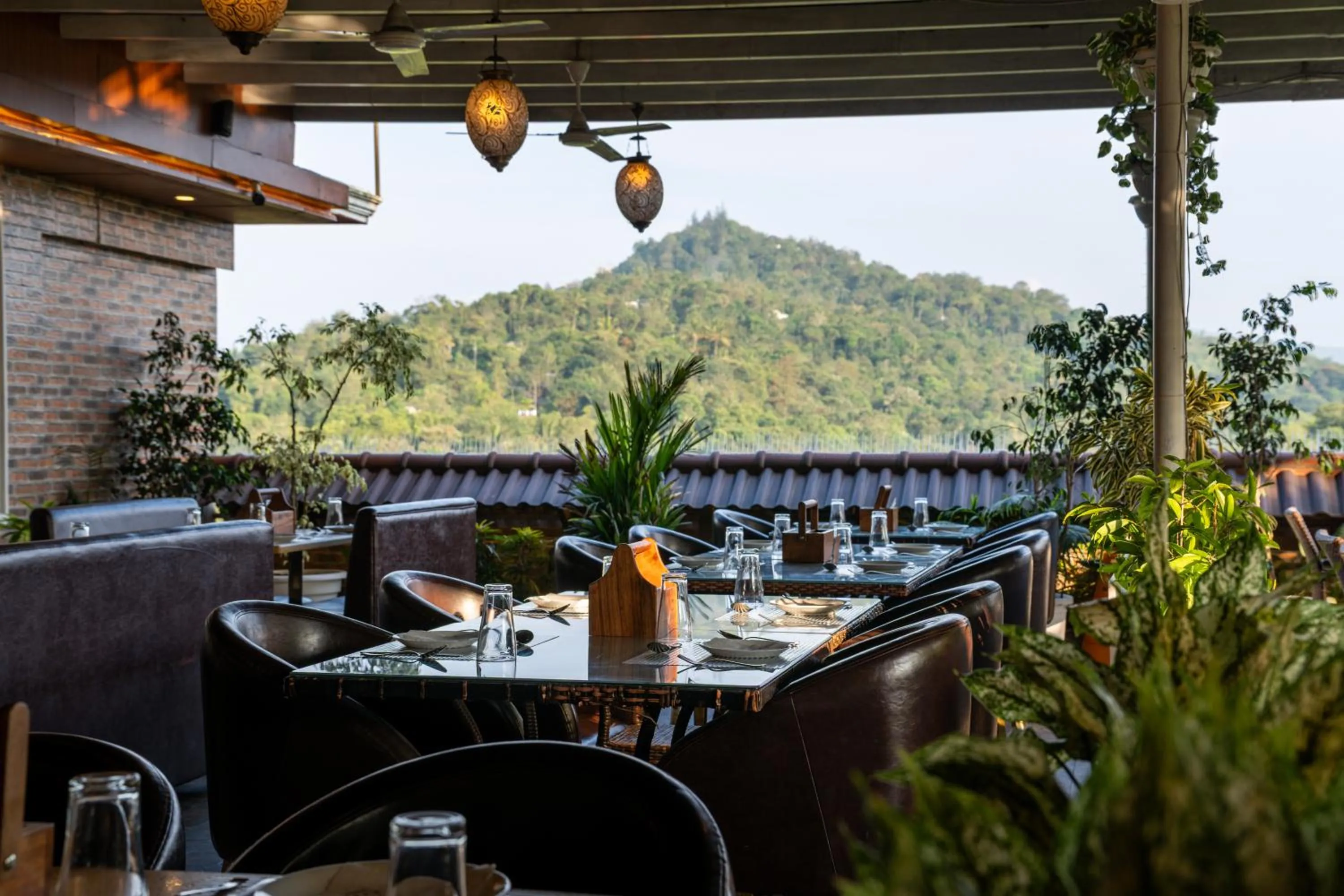 Crown Valley Thekkady