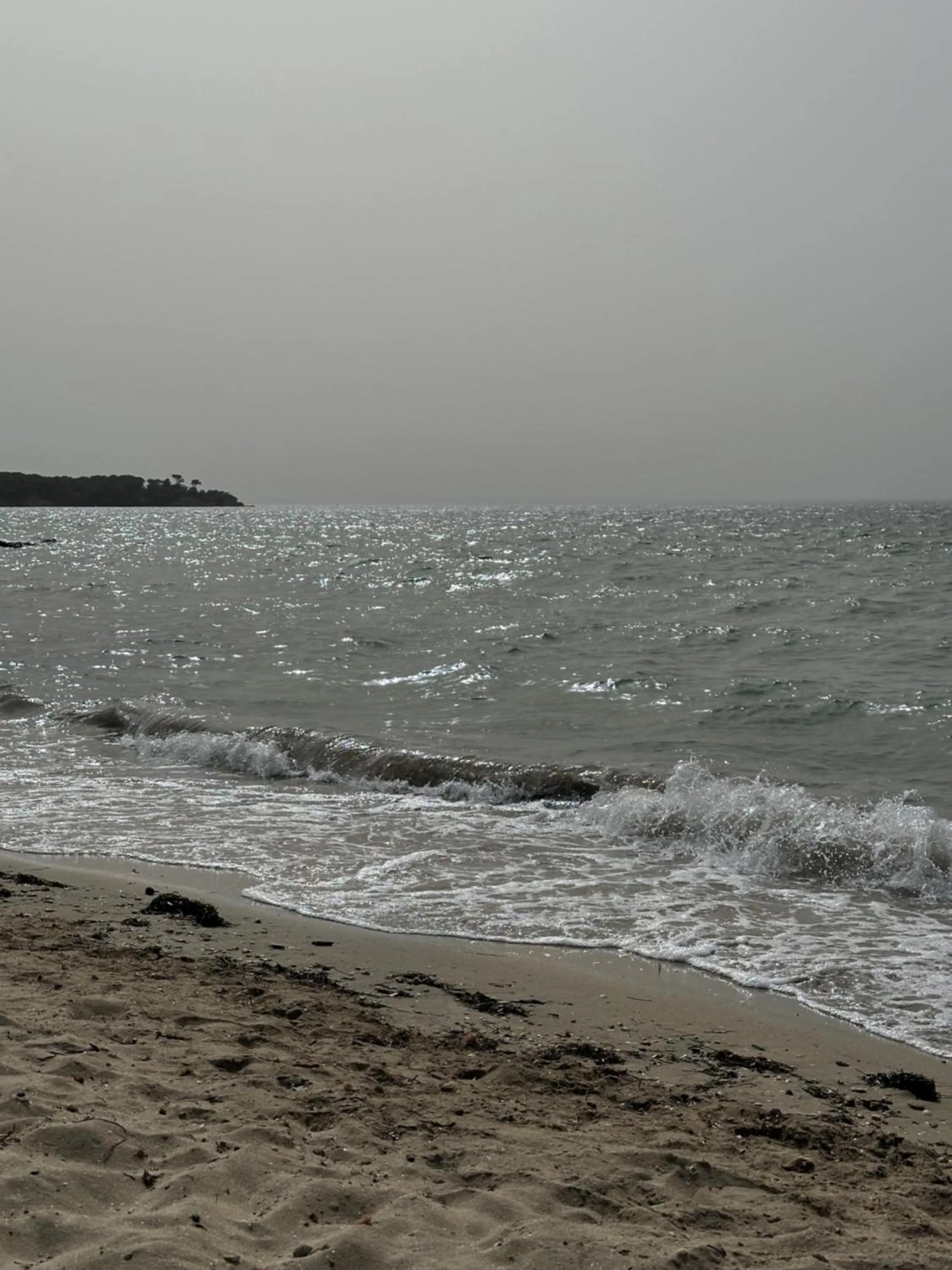 Natural landscape in Hotel Virgilio