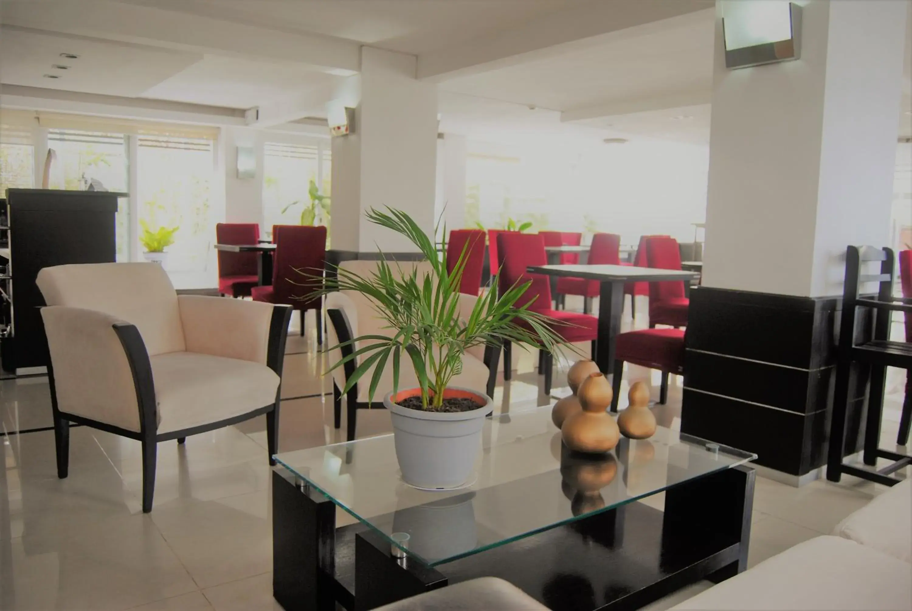 Lounge or bar in Hotel Castilla Lounge or bar in Hotel Castilla