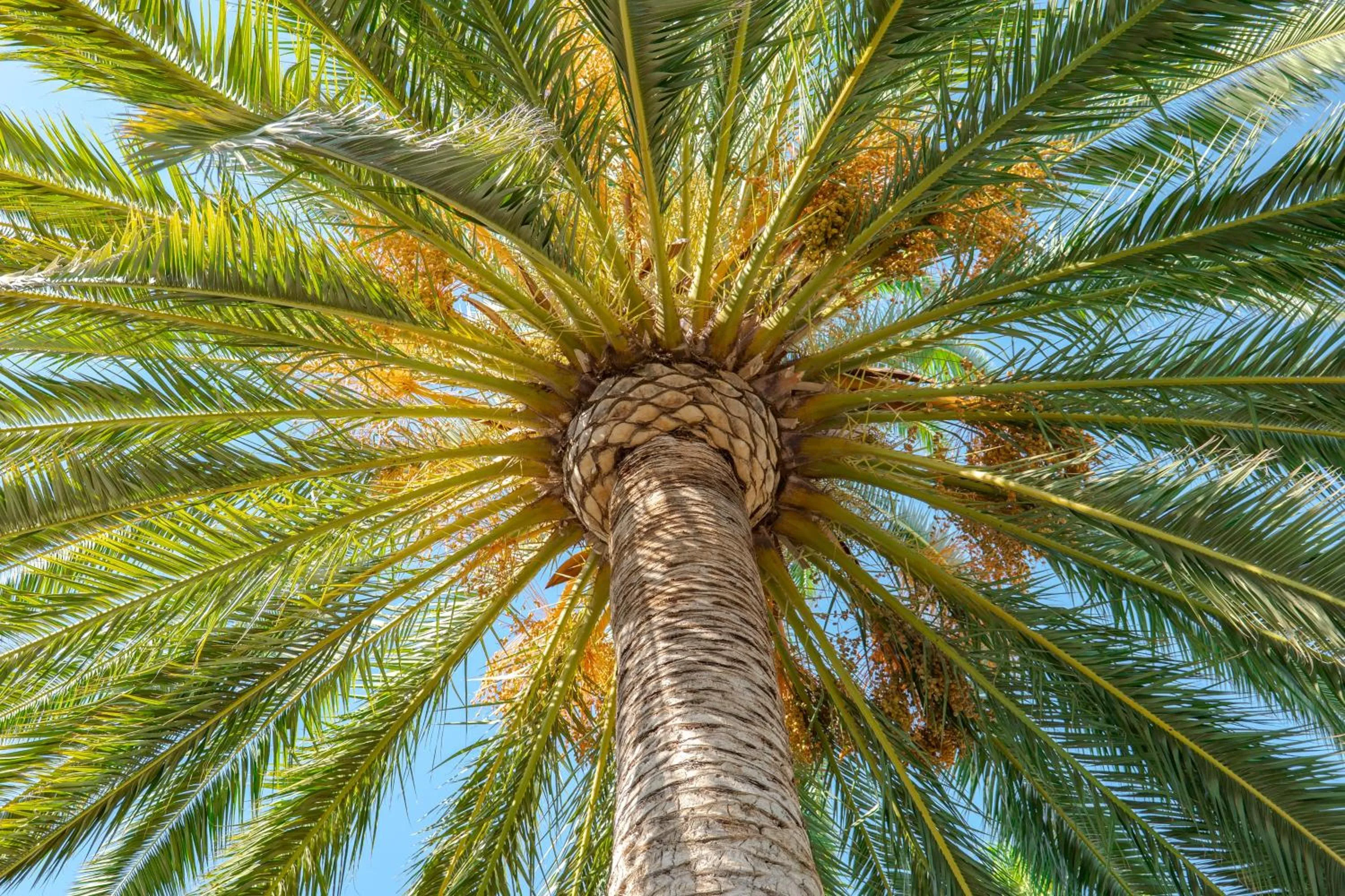 Roca Verde, Boutique Bed & Breakfast - Adults only