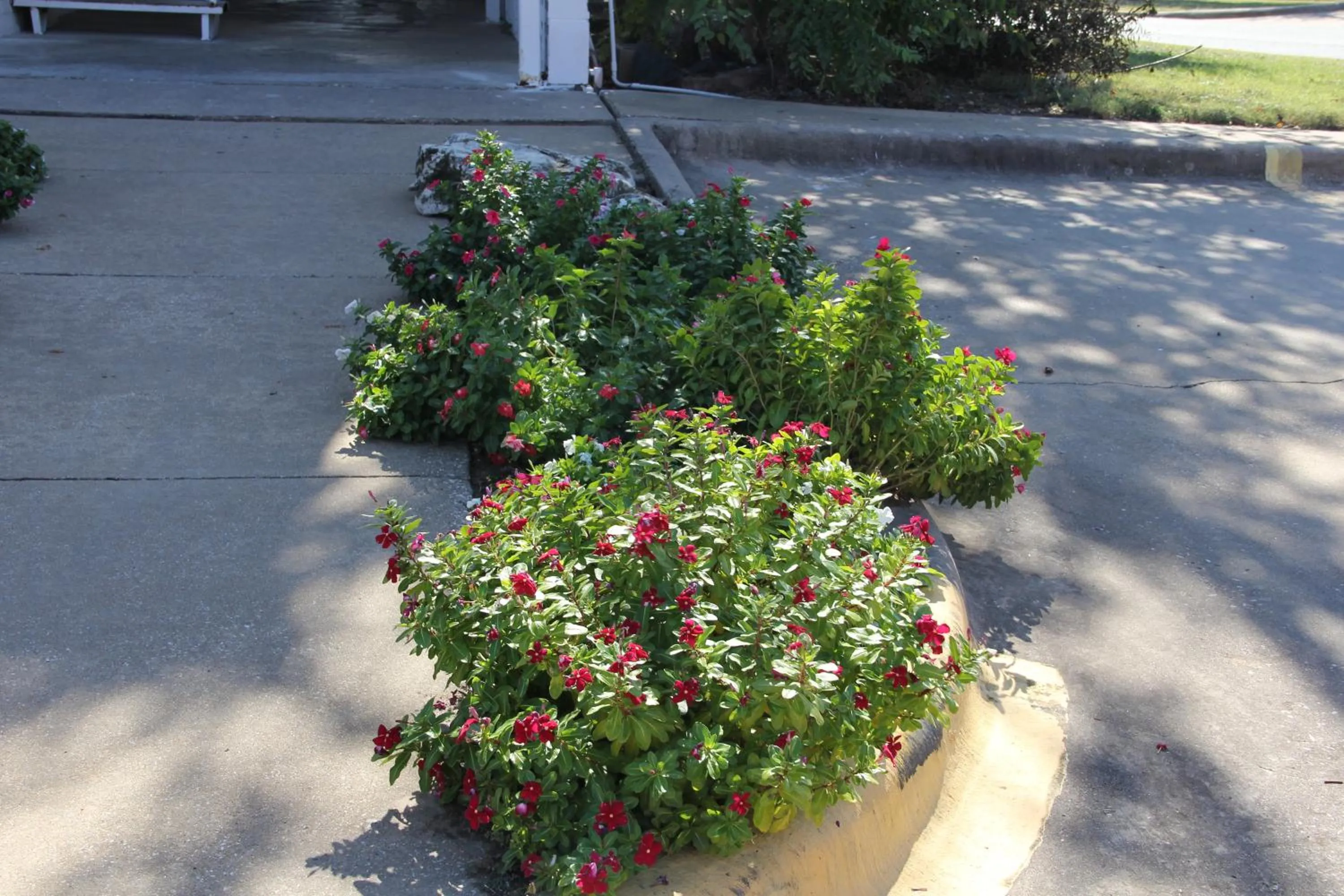 LoneStar Inn and Suites