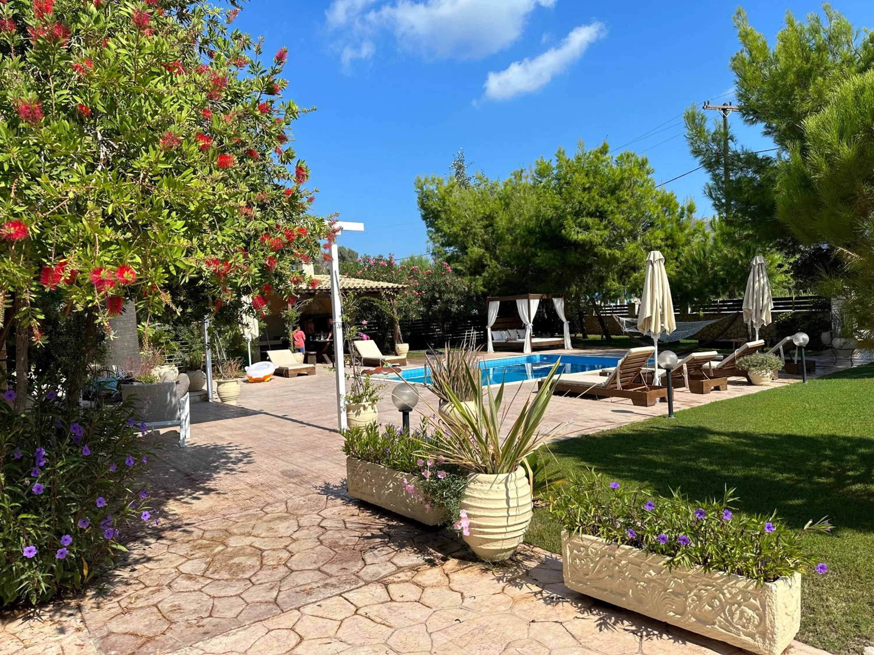 Iguana Villa