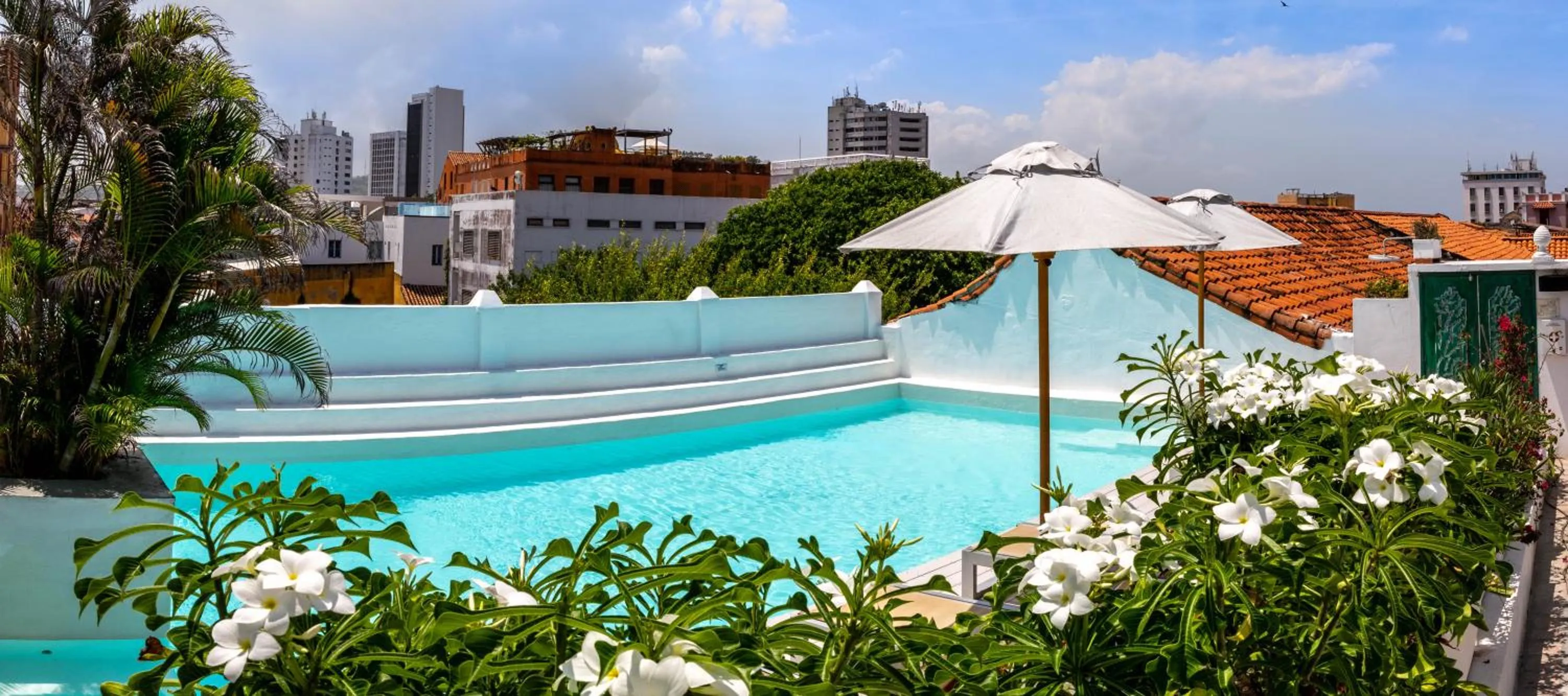 Swimming pool in La Passion by Masaya Collection