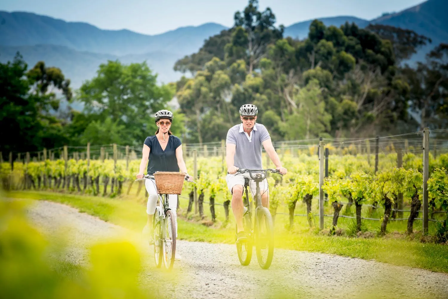 Activities in The Marlborough