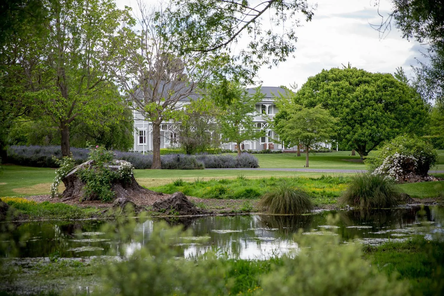 Natural landscape in The Marlborough