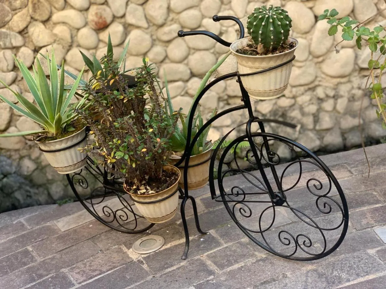 Casa Tía Anita, Hotel Boutique