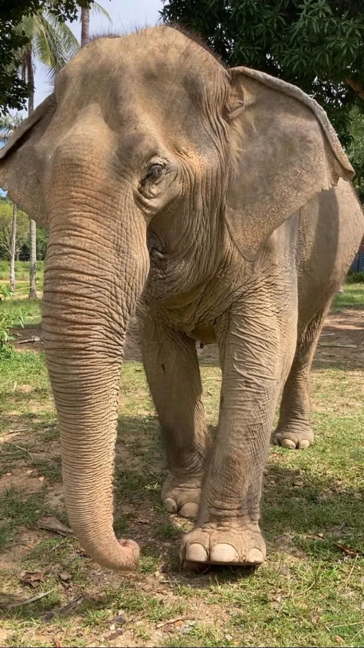 Lanta Just Come Hotel