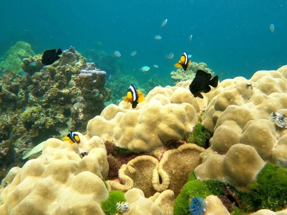 Lanta Just Come Hotel