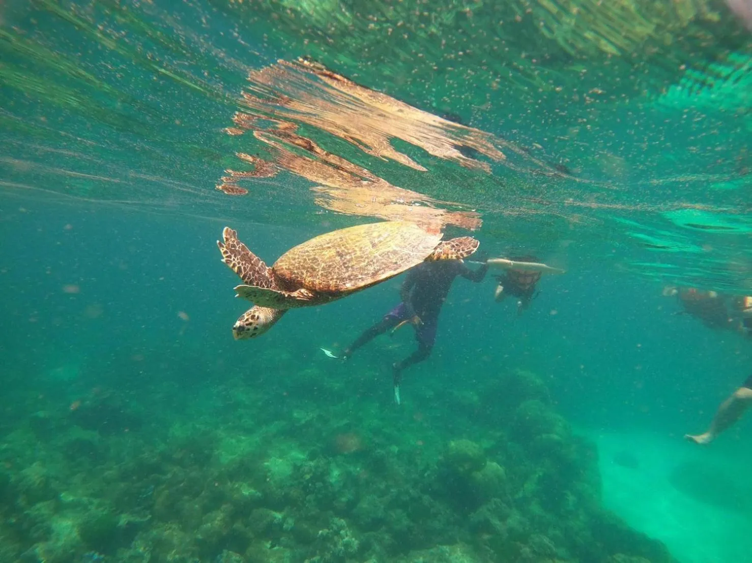 Lanta Just Come Hotel