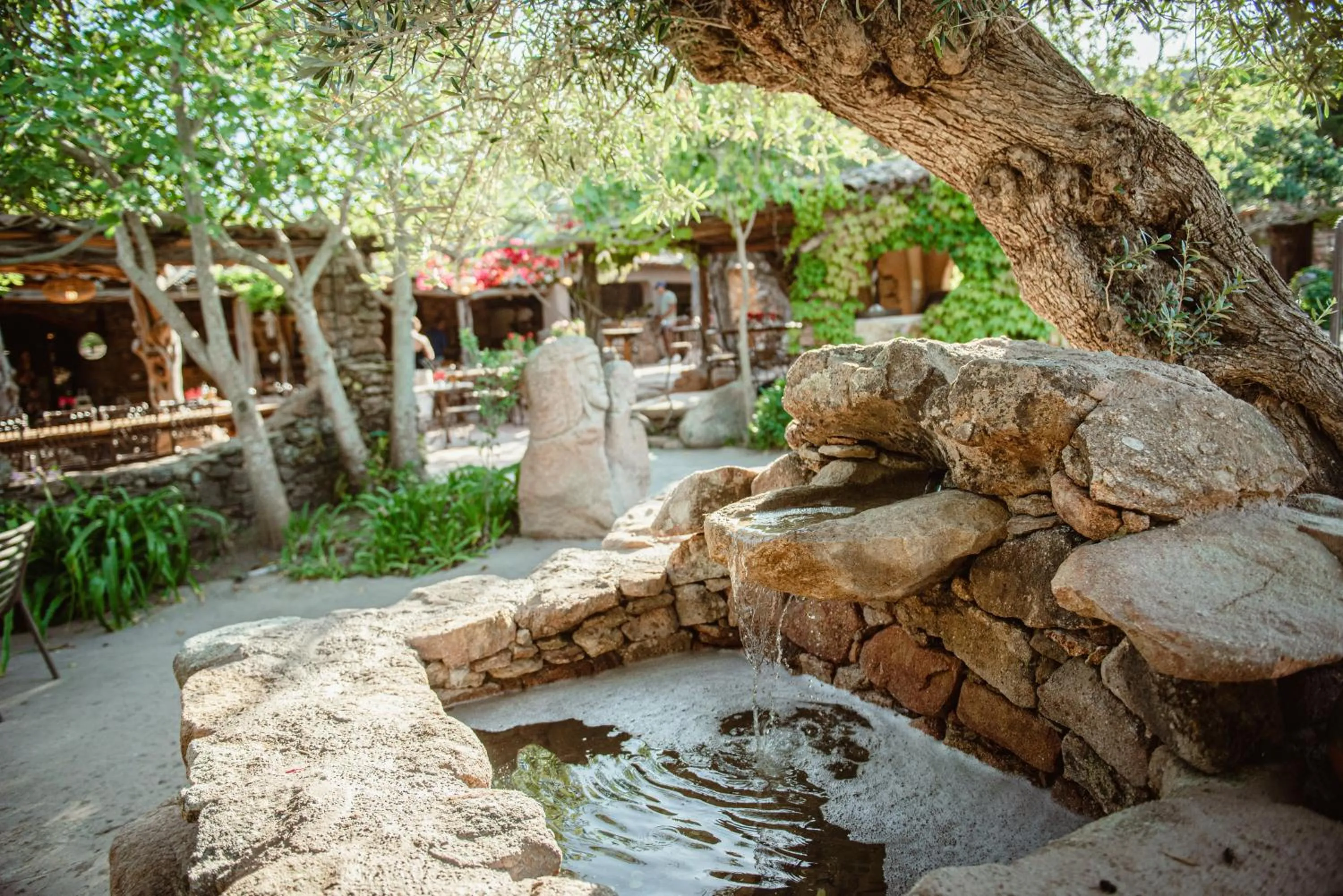 Garden view in Ranch Campo Palombaggia