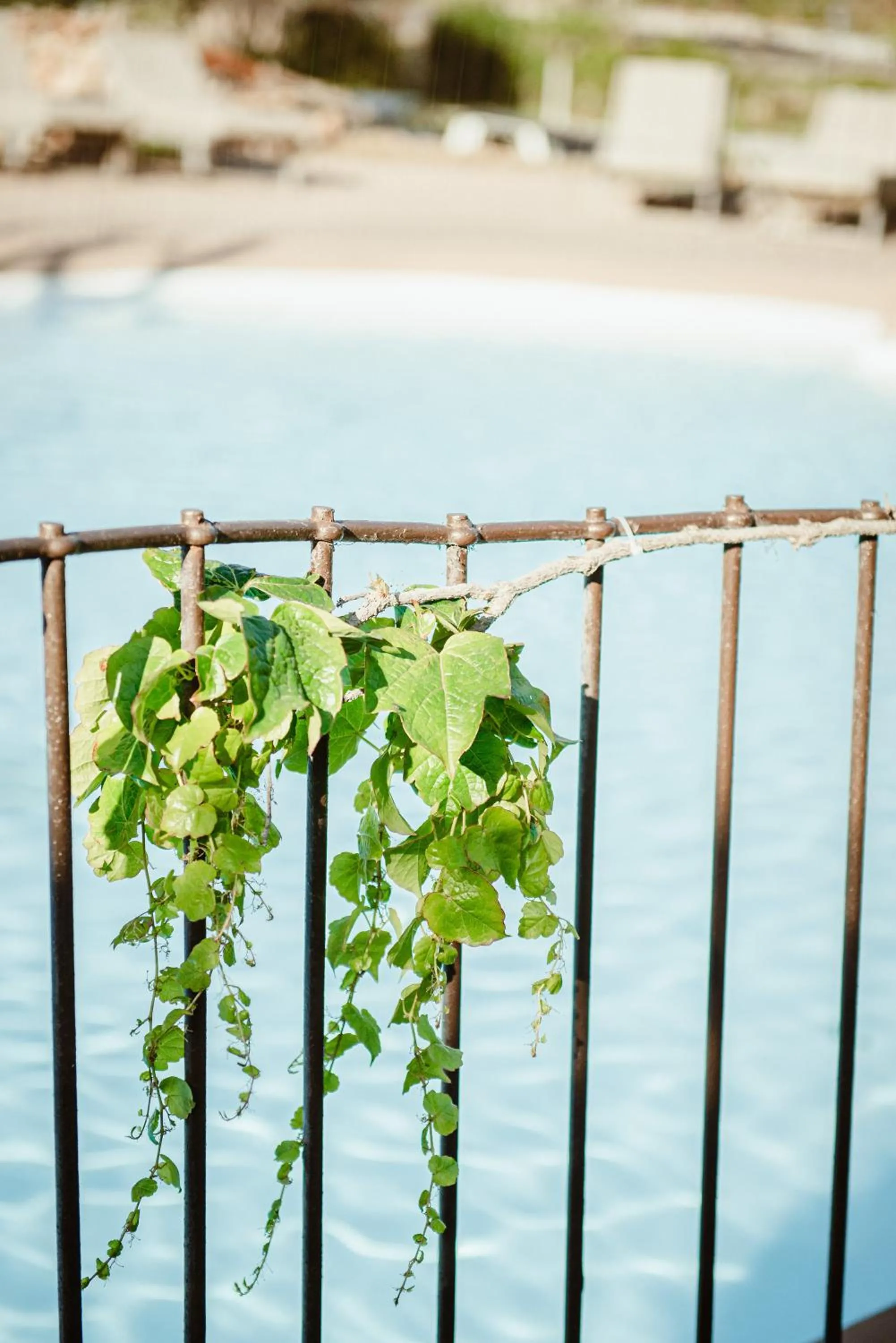 Pool view in Ranch Campo Palombaggia