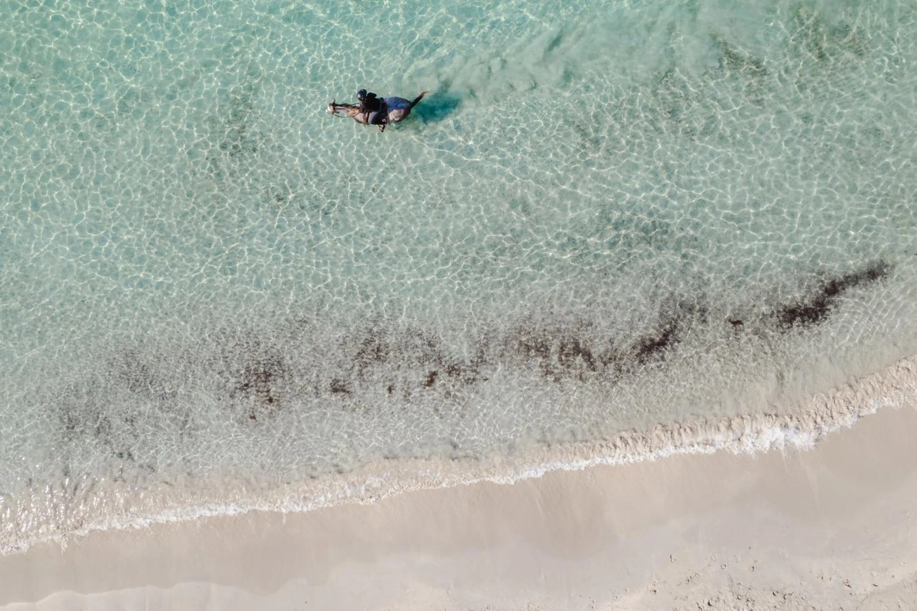 Ranch Campo Palombaggia