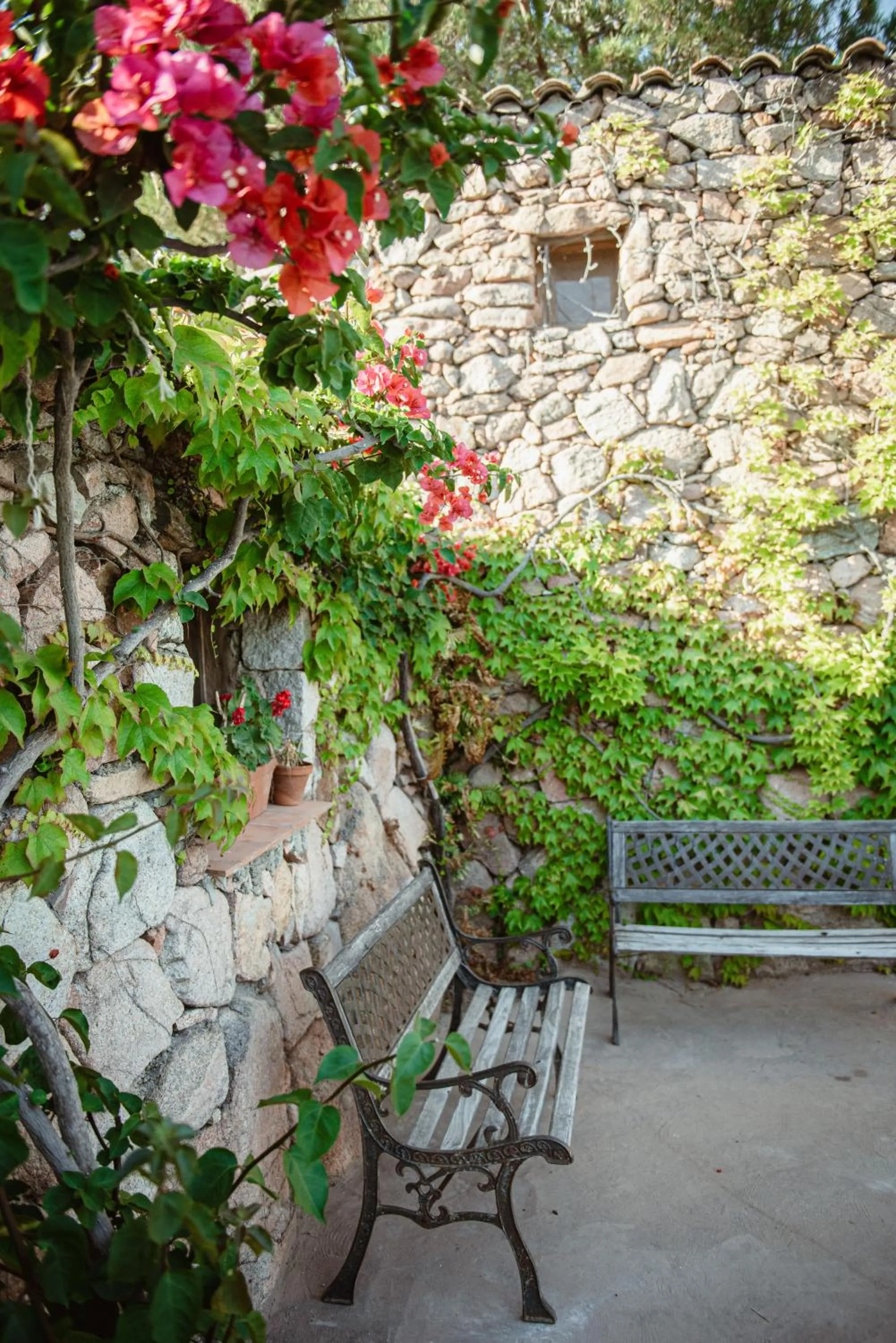 Spring in Ranch Campo Palombaggia