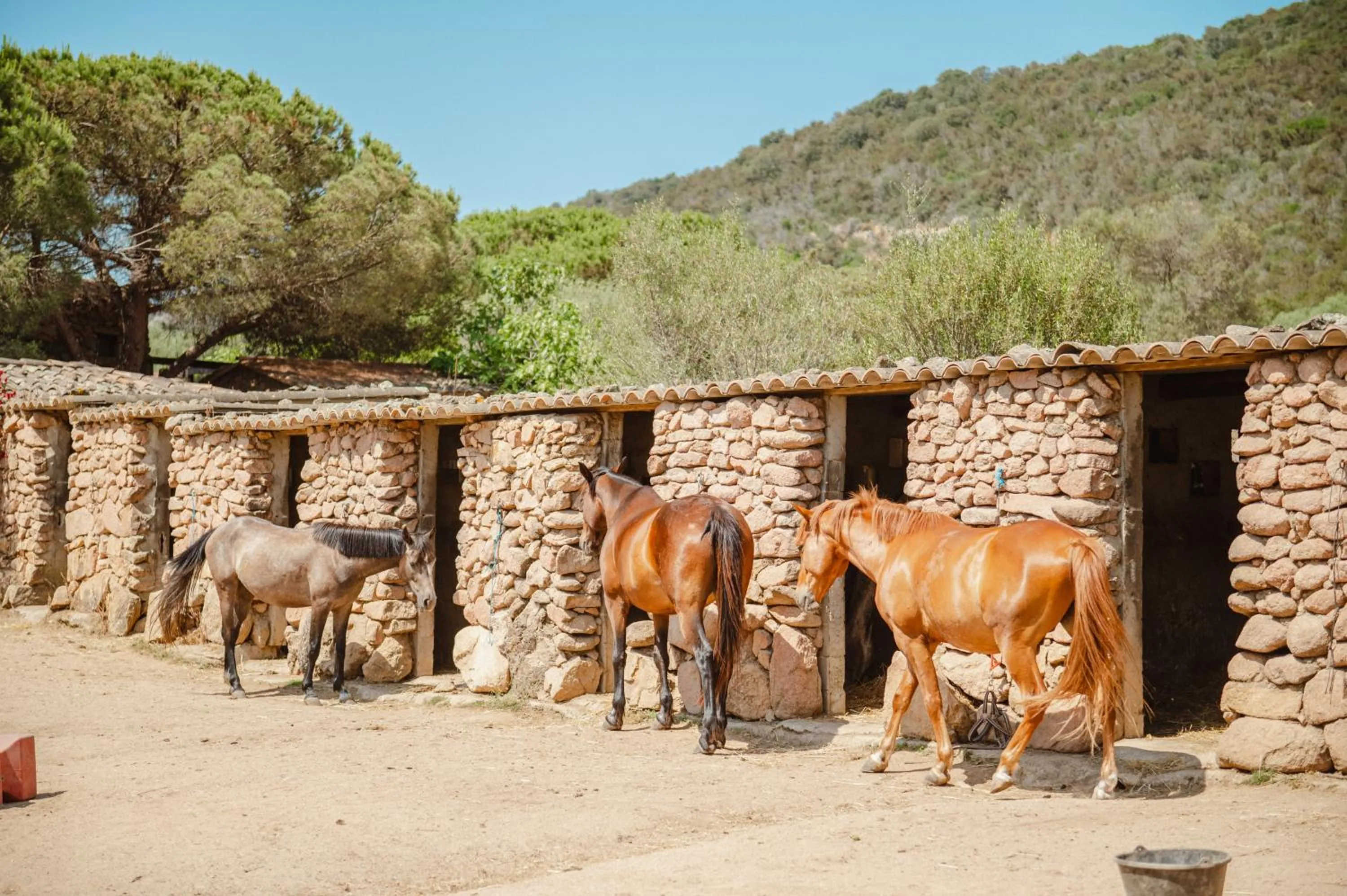 Ranch Campo Palombaggia