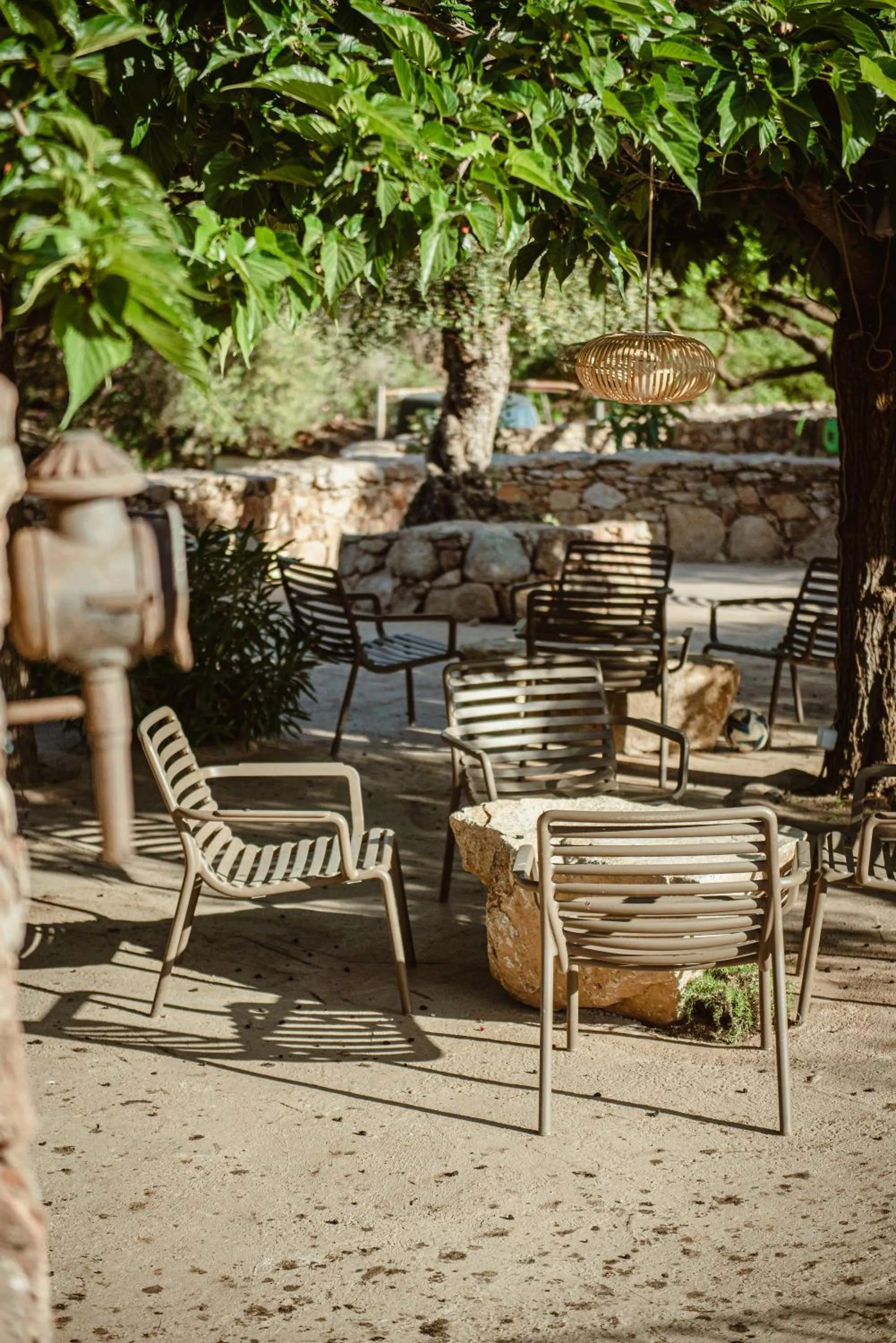 Garden in Ranch Campo Palombaggia