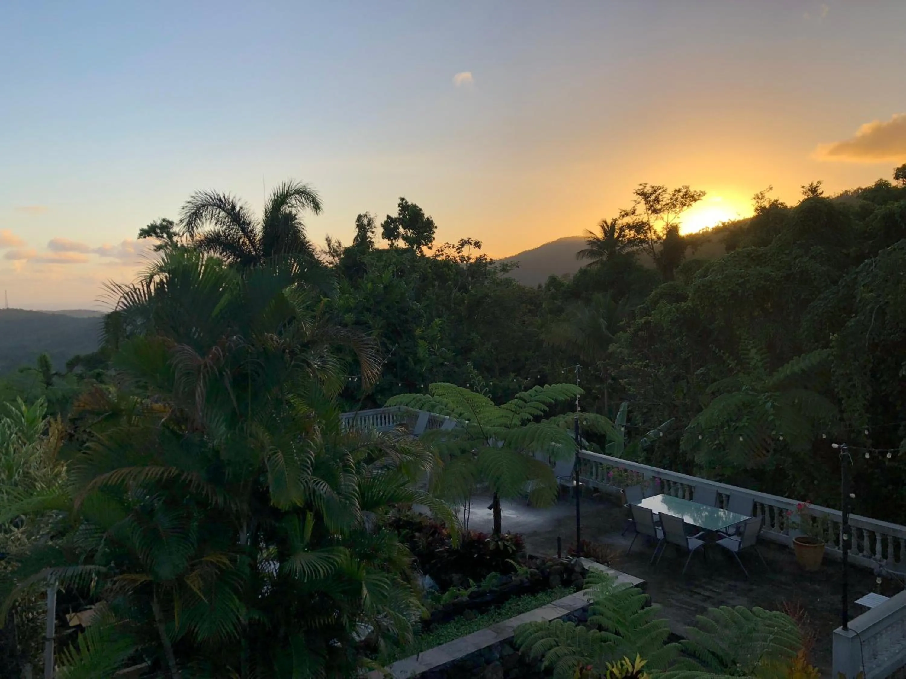 Swimming pool in El Yunque Rainforest Inn