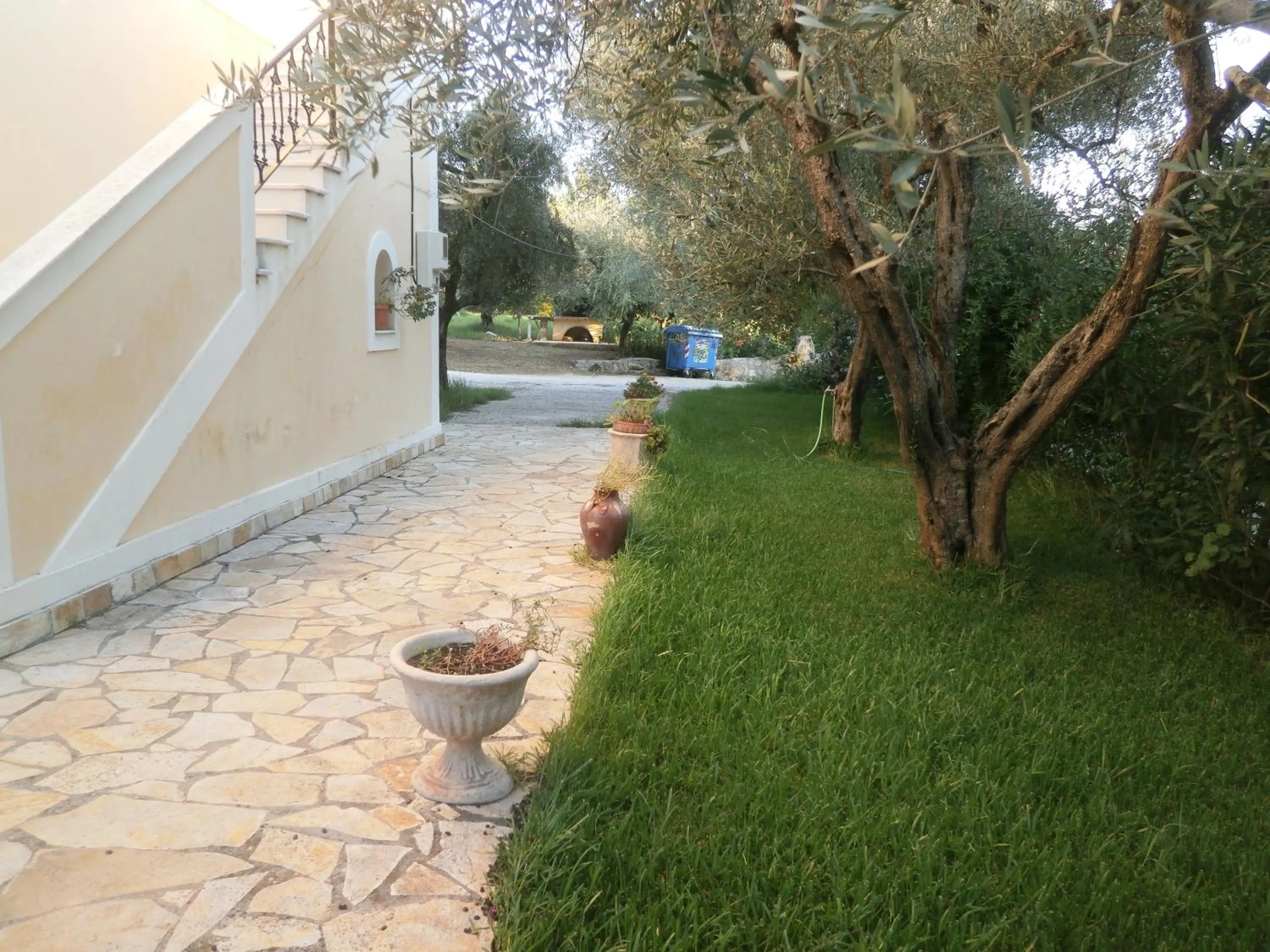 Garden in Kavos Psarou Studios & Apartments