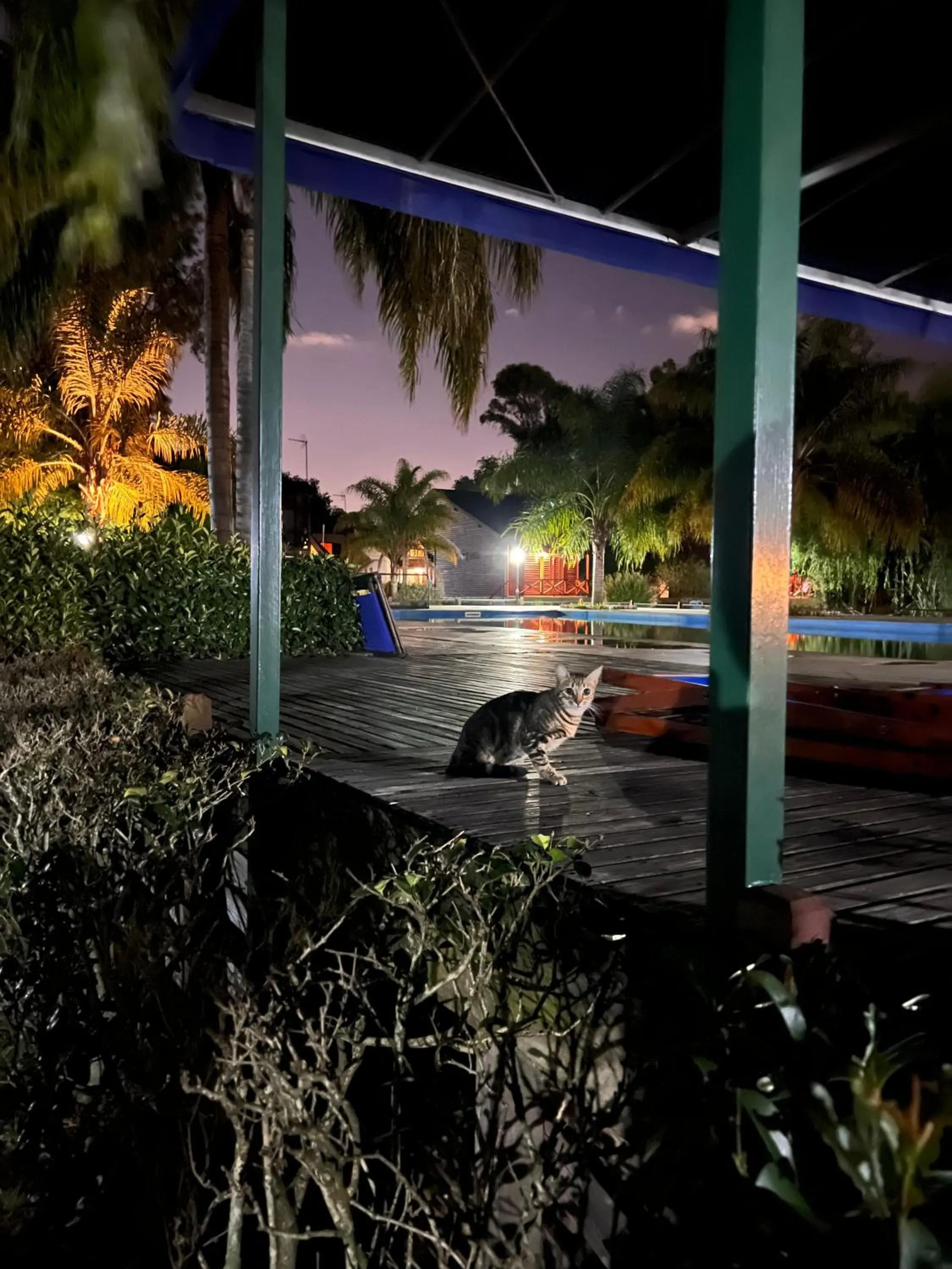 Night in Aires Del Delta