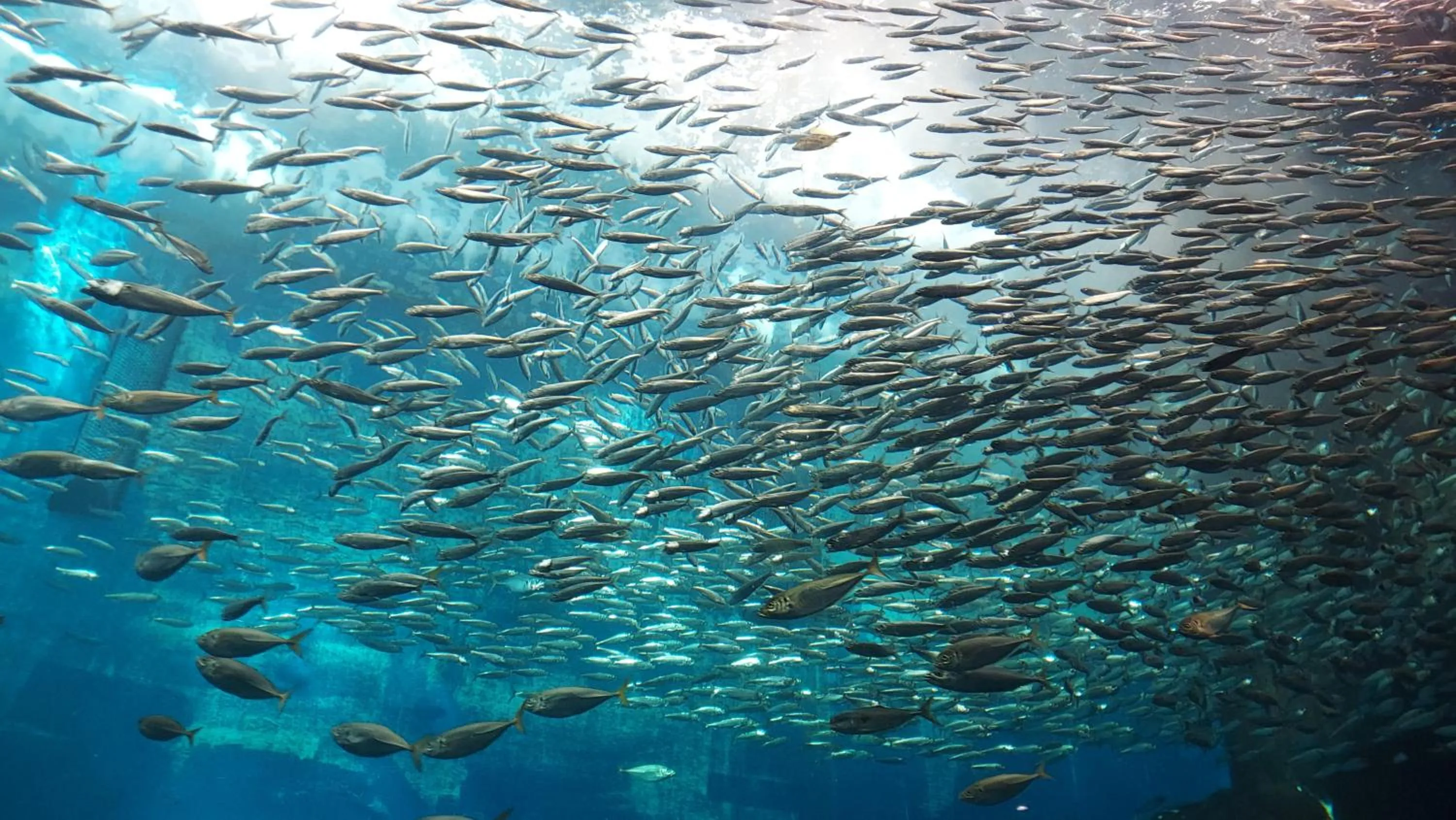 Nearby landmark in Hotel Airport Komatsu