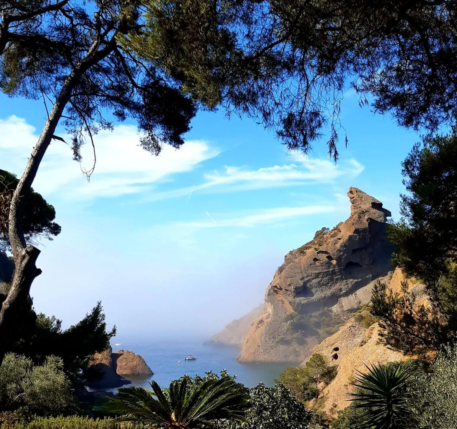Beach in La Calanque de Figuerolles