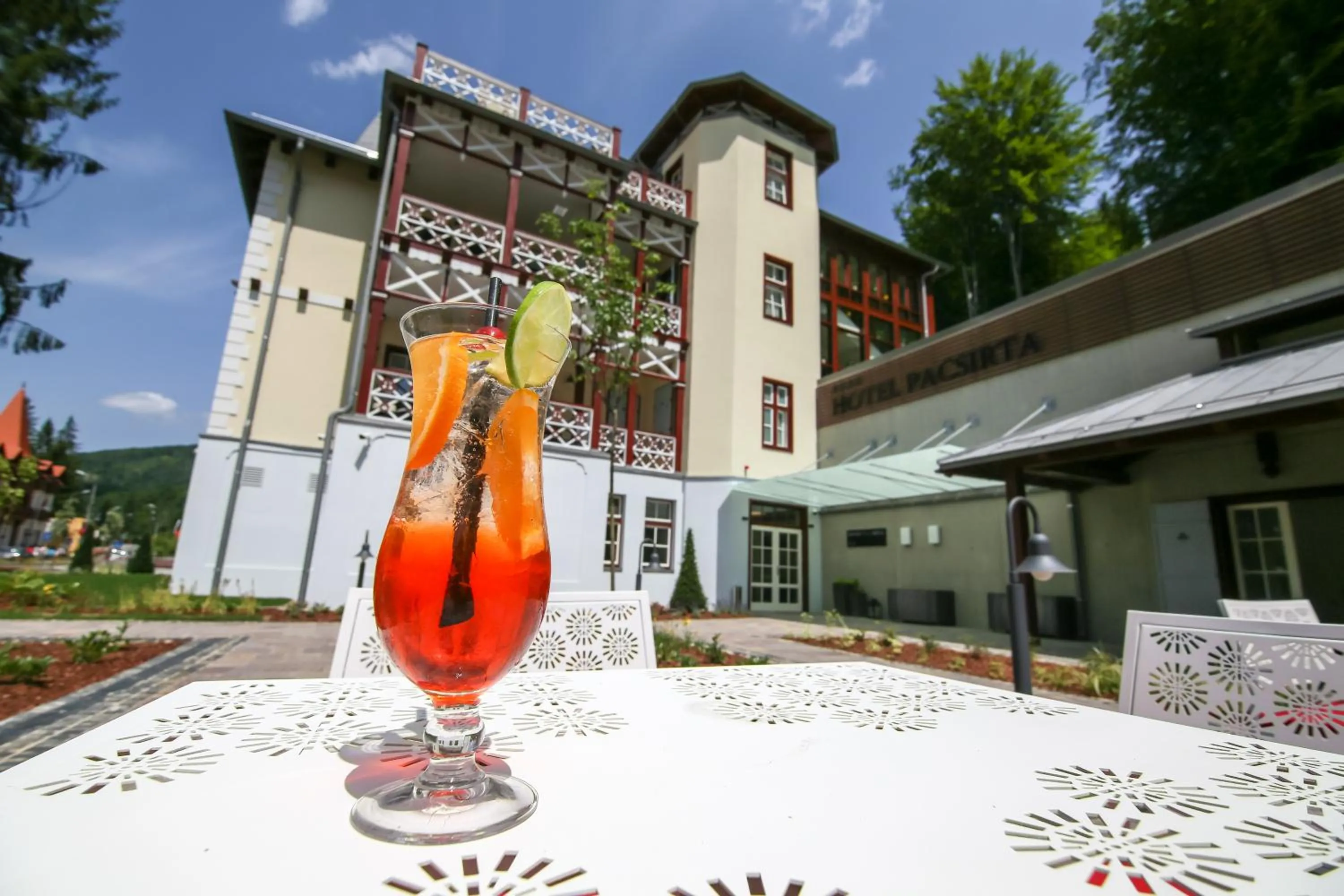 Garden in Hotel Pacsirta