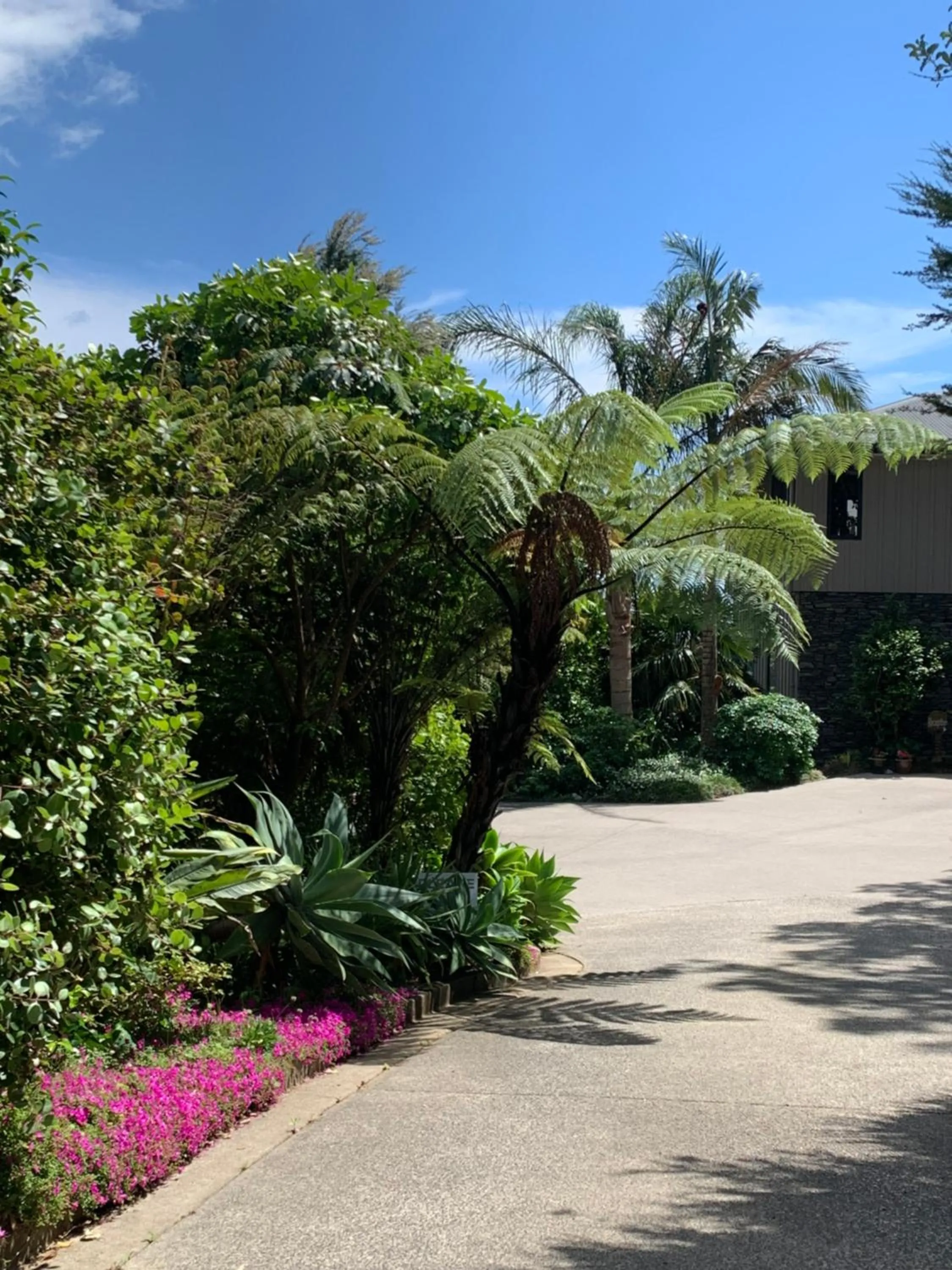 Puka Heights