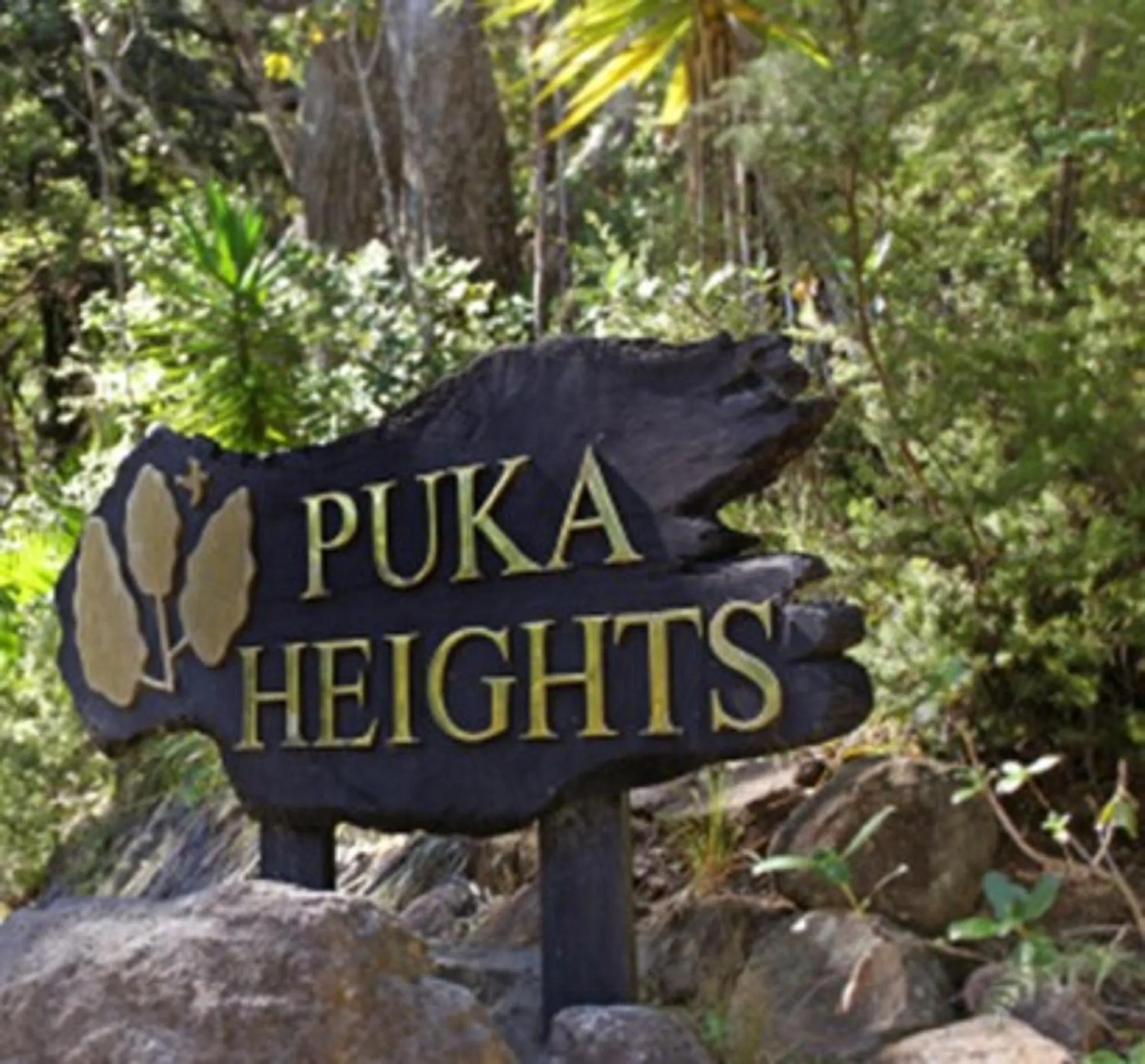 Puka Heights