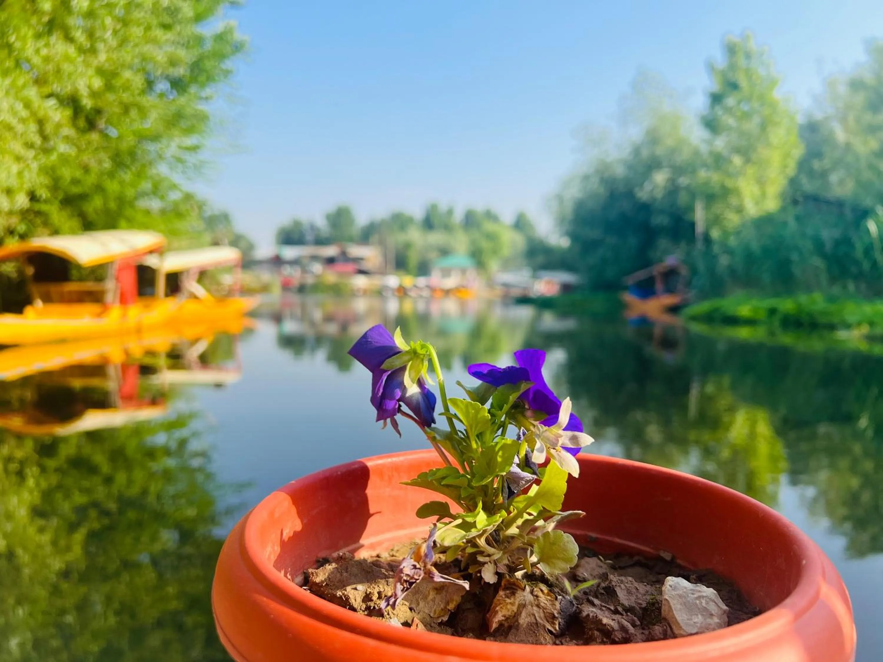 River view in Hotel Chachoo Palace