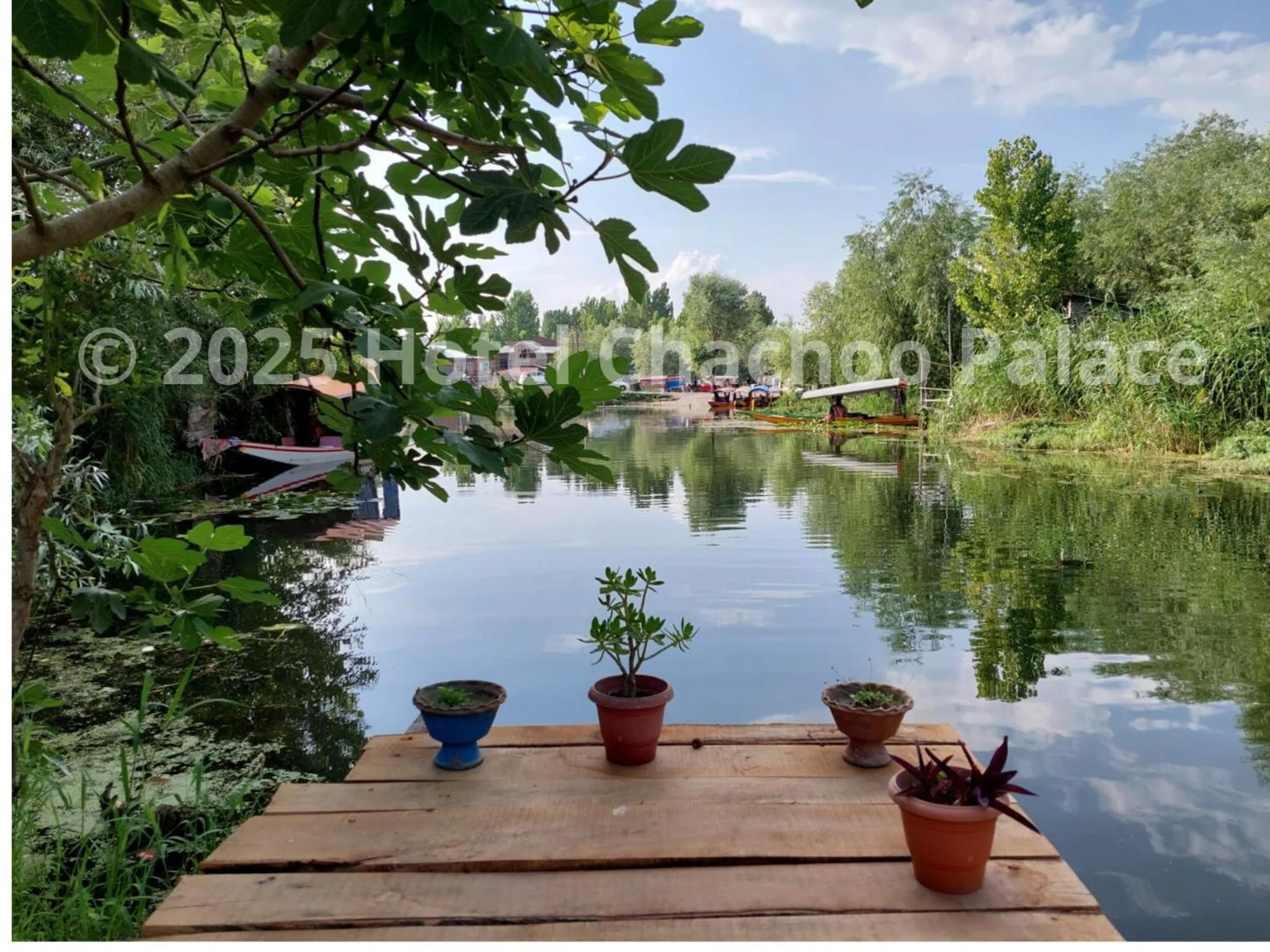 Property building in Hotel Chachoo Palace