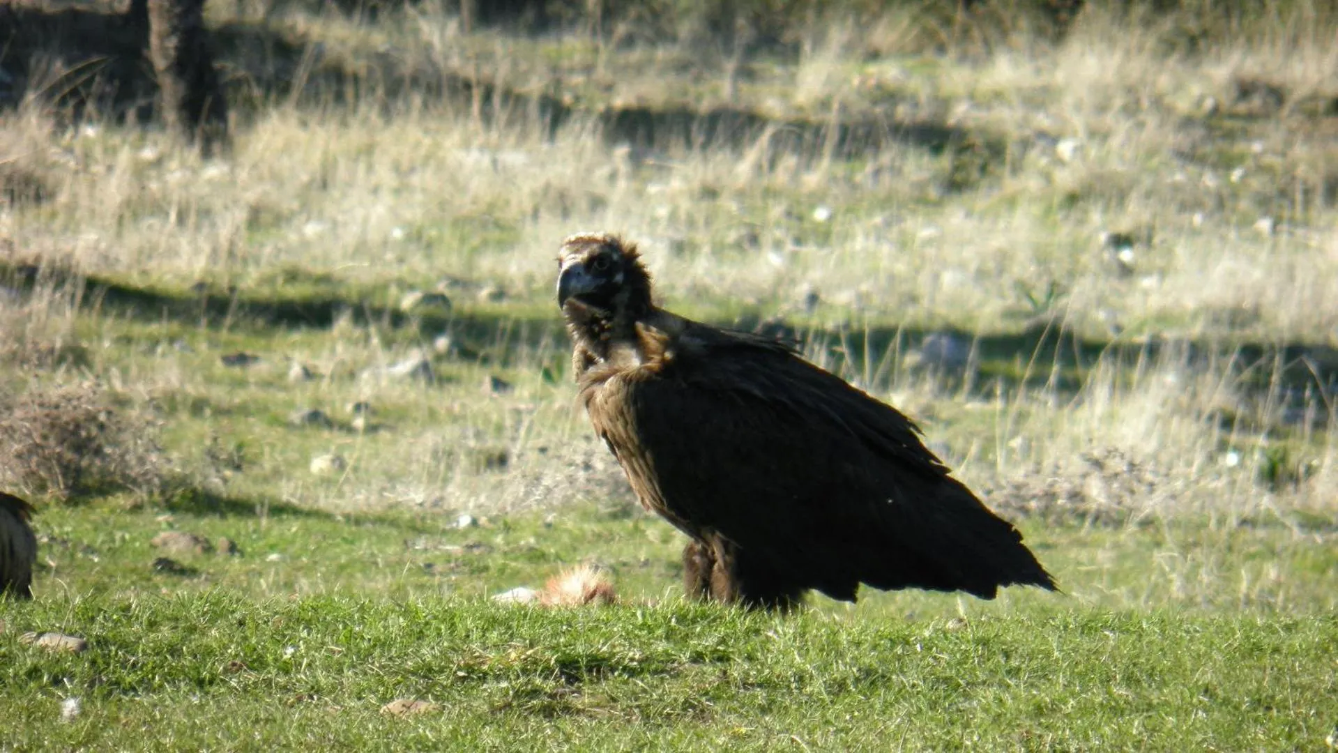 Nearby landmark in Hotel Carvajal