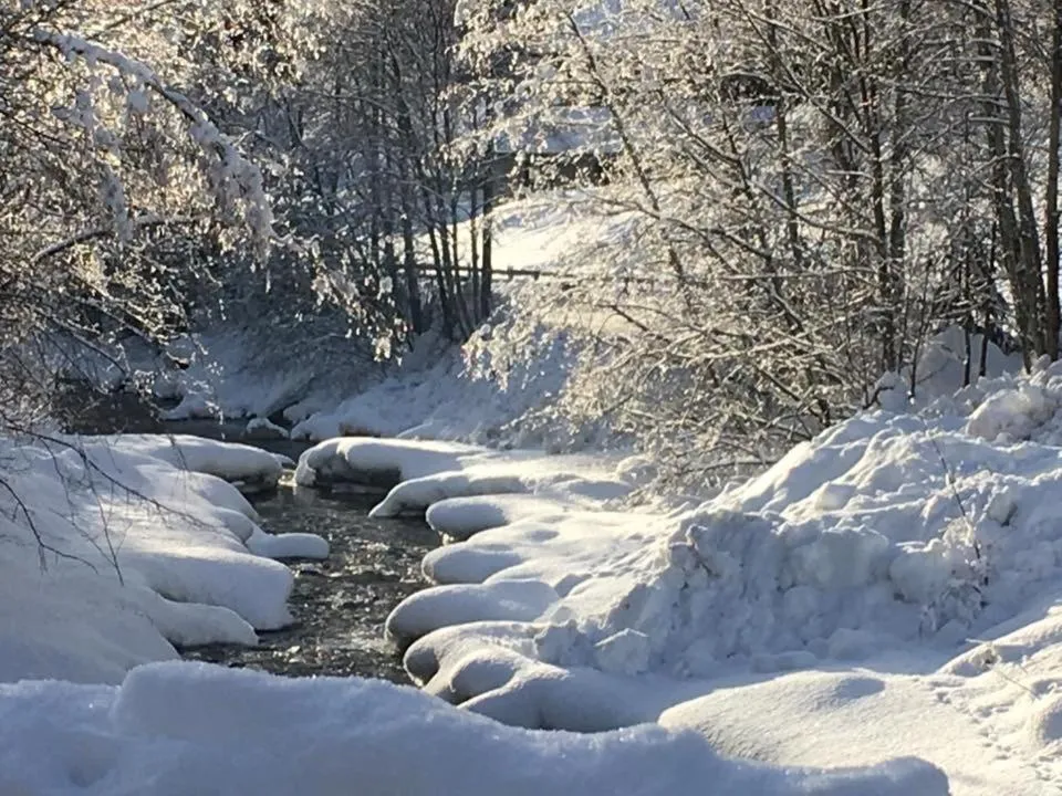 Natural landscape in Pension Lagler