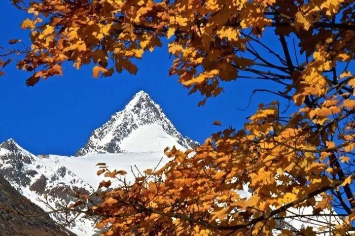 Natural landscape in Pension Lagler