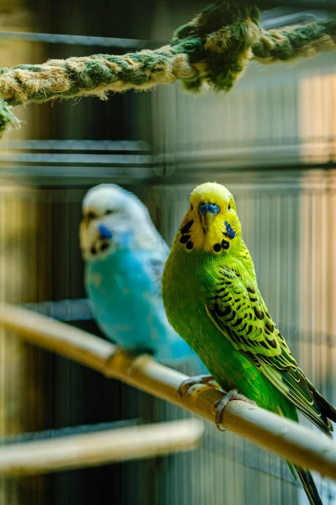 Hôtel Tandem - Boutique Hôtel