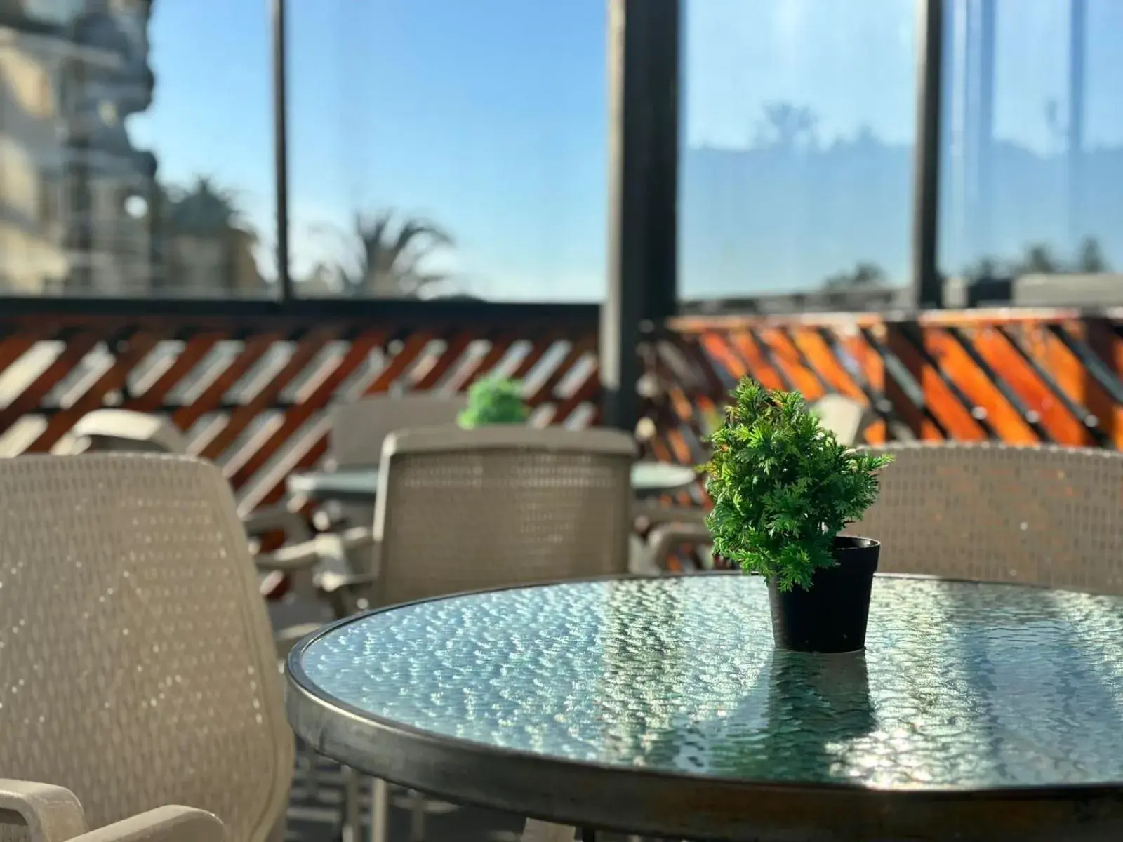 Lounge or bar in LRH Viña del Mar and Convention Center - Ex Gala Hotel Lounge or bar in LRH Viña del Mar and Convention Center - Ex Gala Hotel