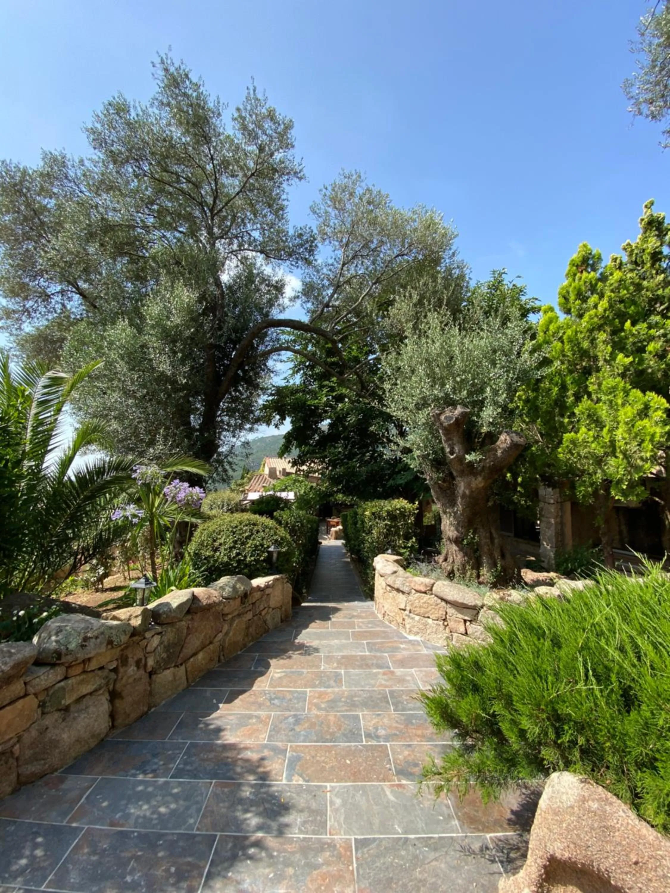 Garden in Hotel gite d'etape San Pasquale