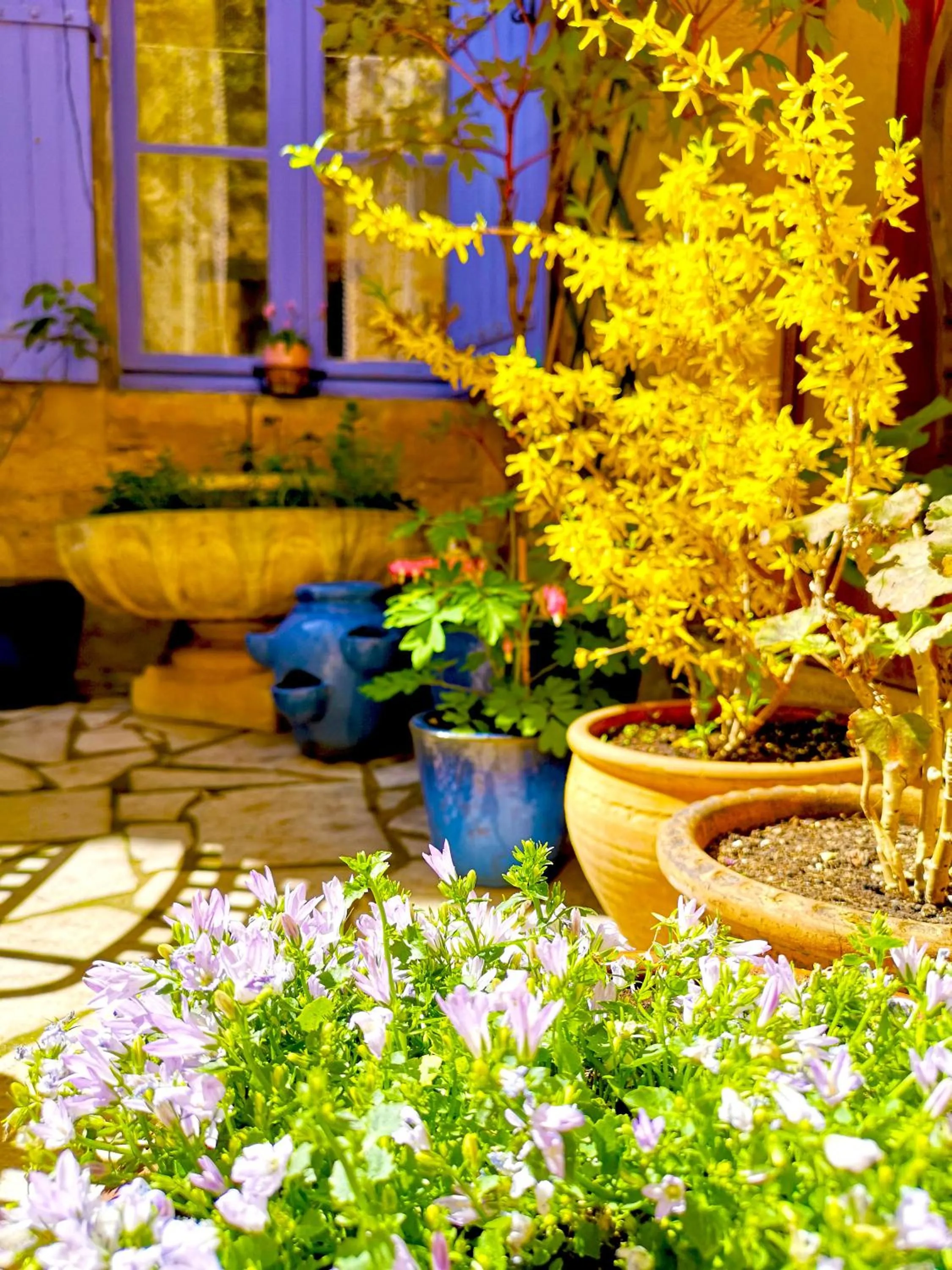 Spring in La Lanterne Chambres d'Hotes