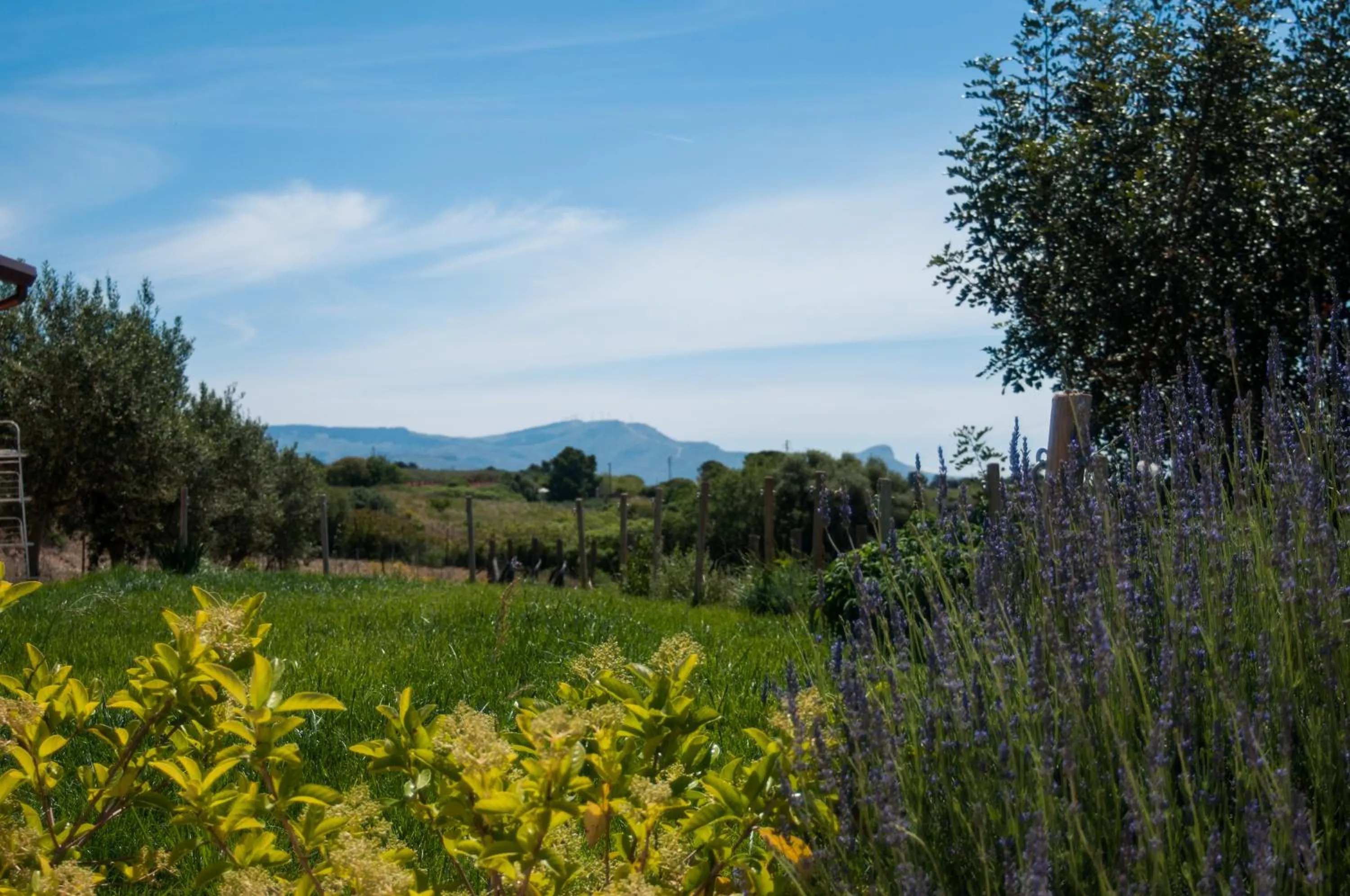 Patio, Natural Landscape in Relais Casina Miregia