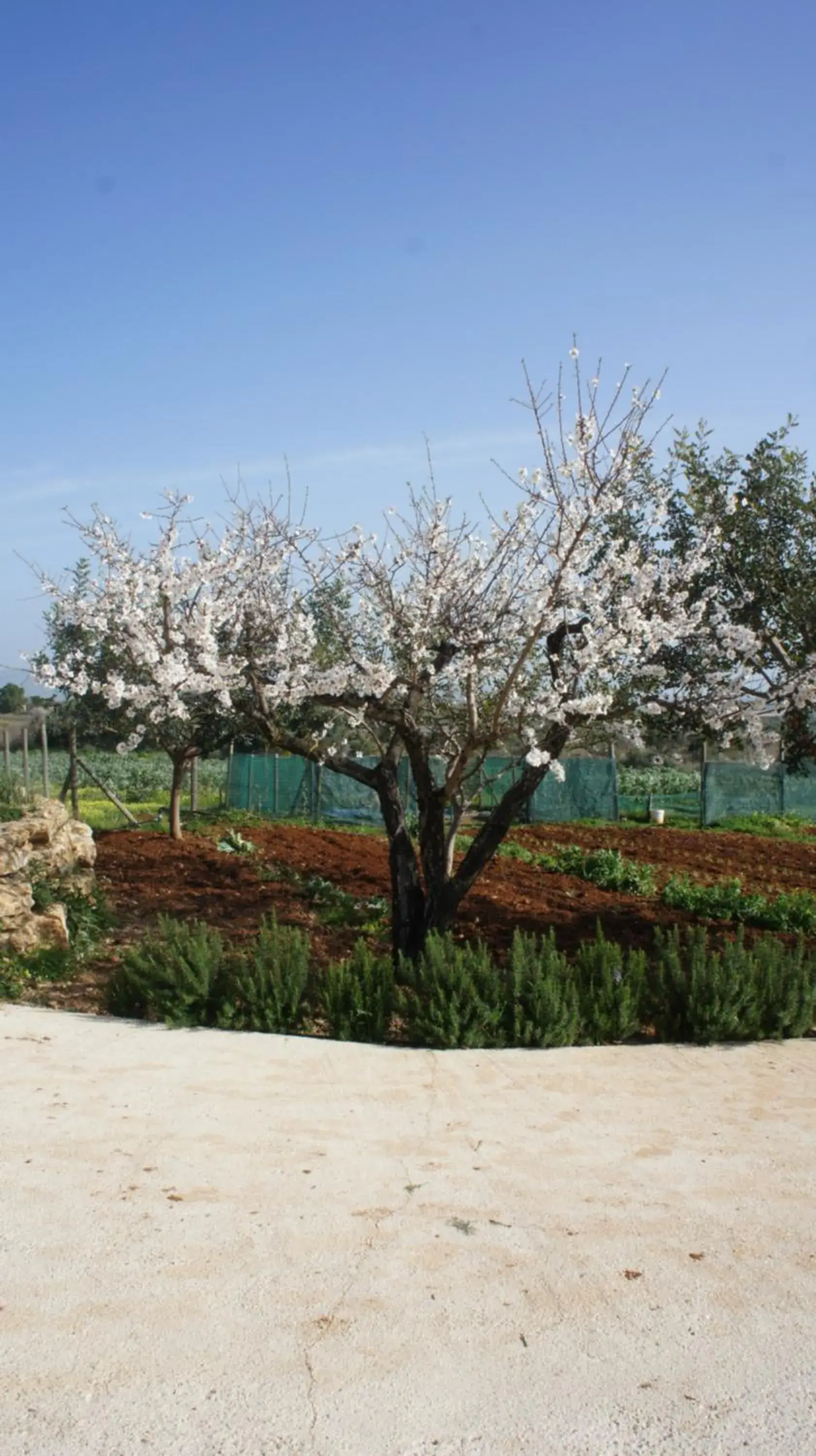 Nearby landmark in Relais Casina Miregia