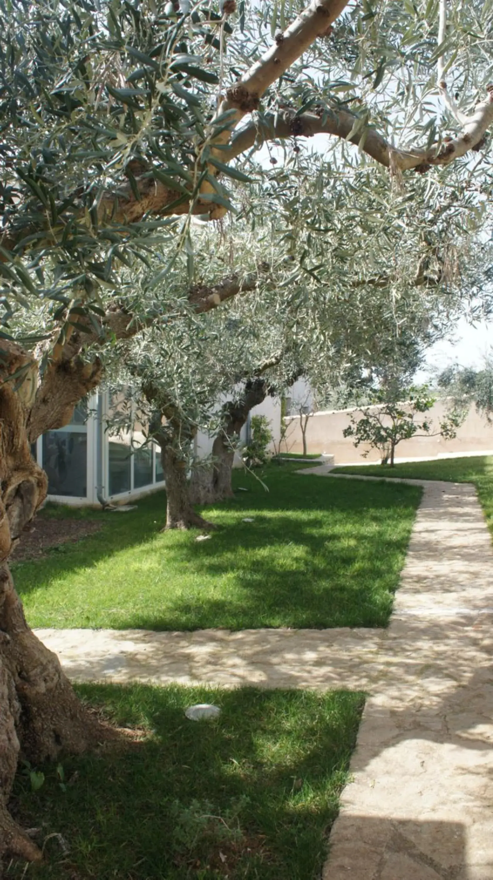 Patio, Garden in Relais Casina Miregia