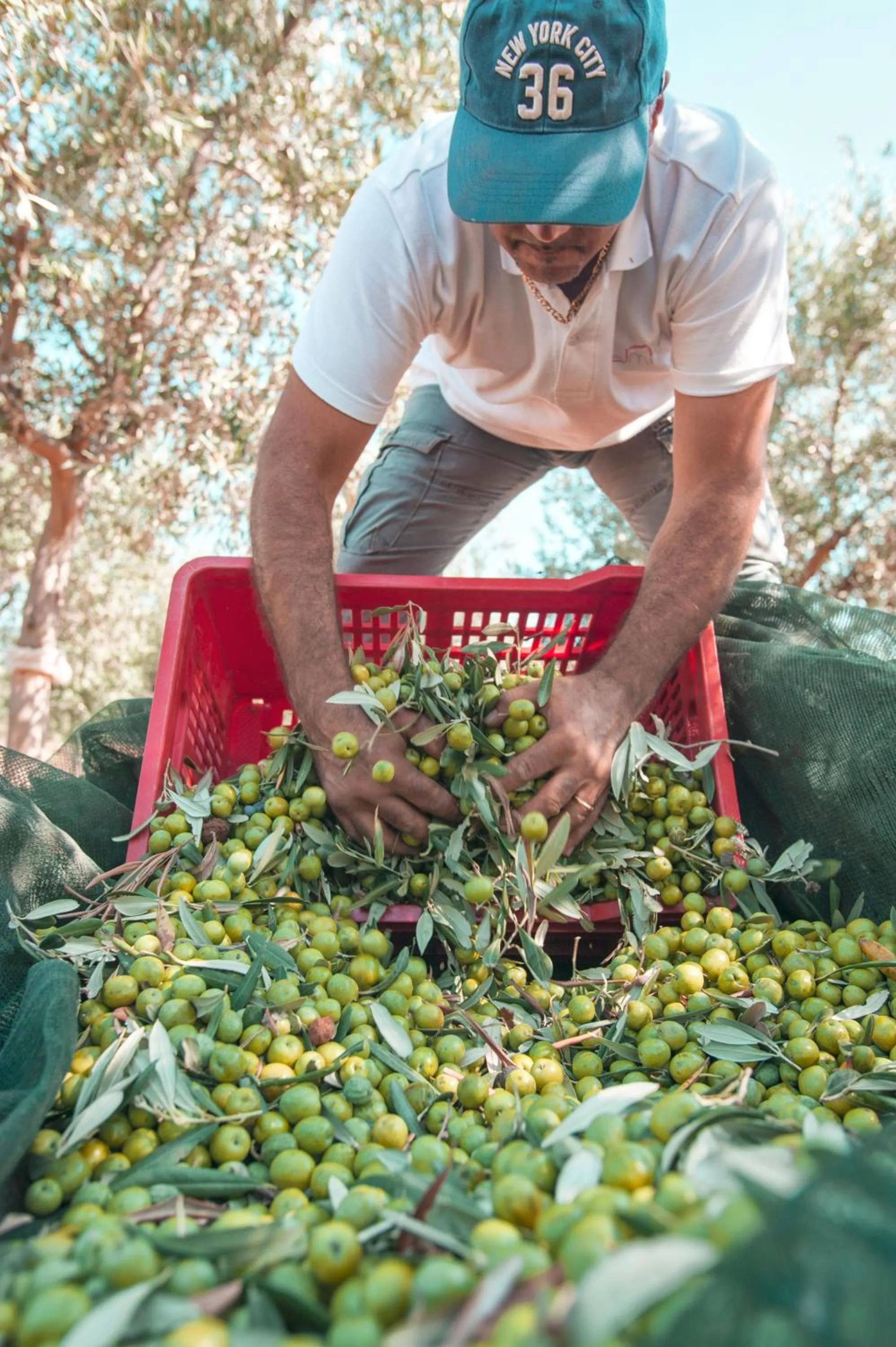 Staff in Relais Casina Miregia
