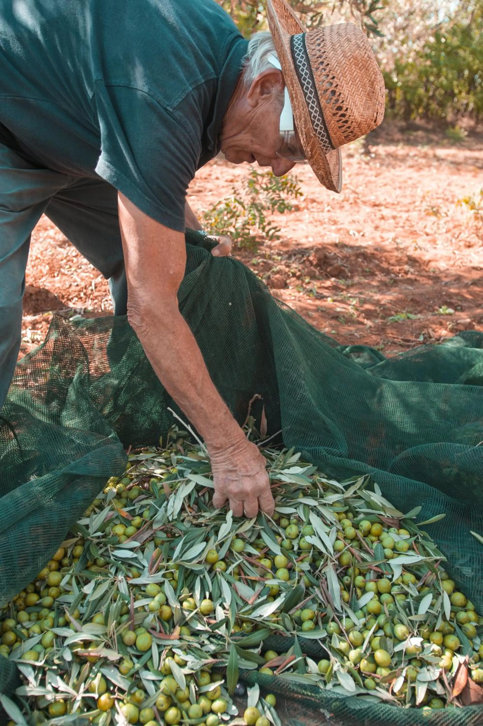 Staff, Other Animals in Relais Casina Miregia