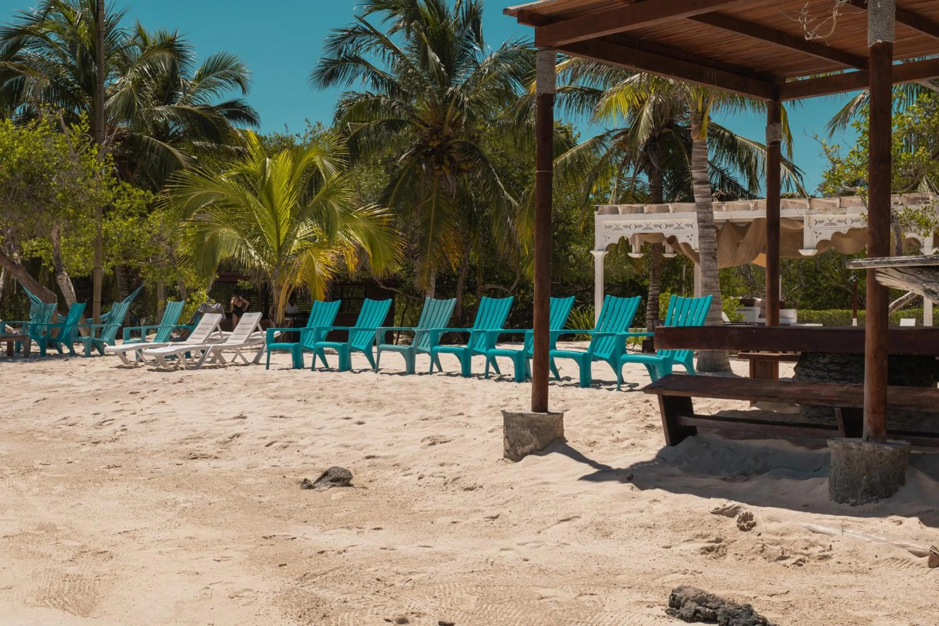 Beach in Hotel Agua Azul Beach Resort