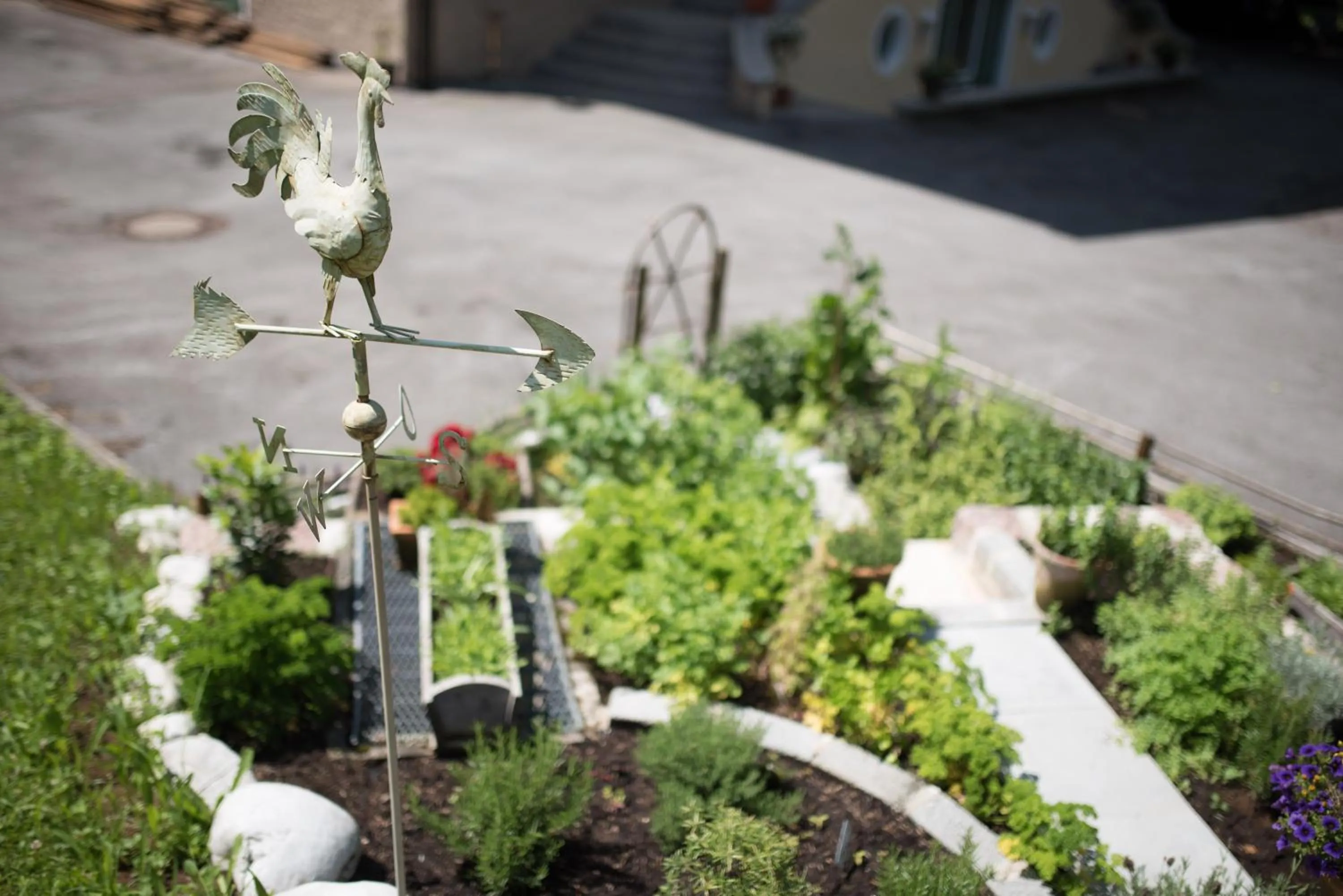 Garden in Adolphine Garden