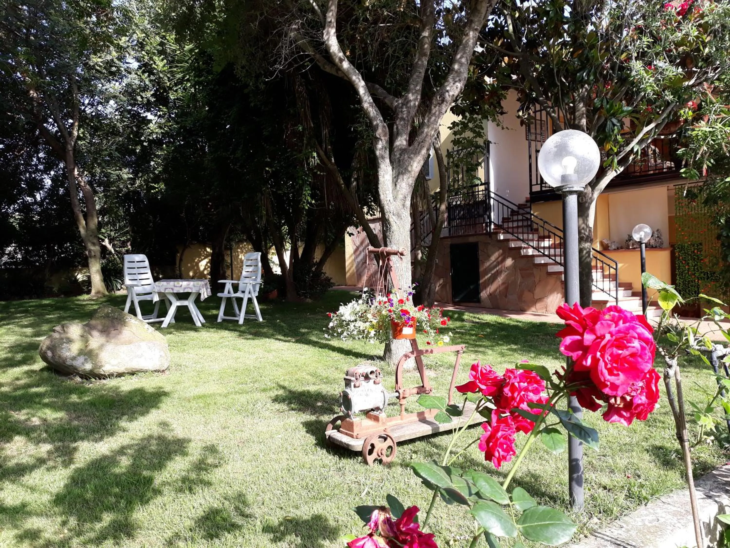 Garden in B&B Is Murdegus