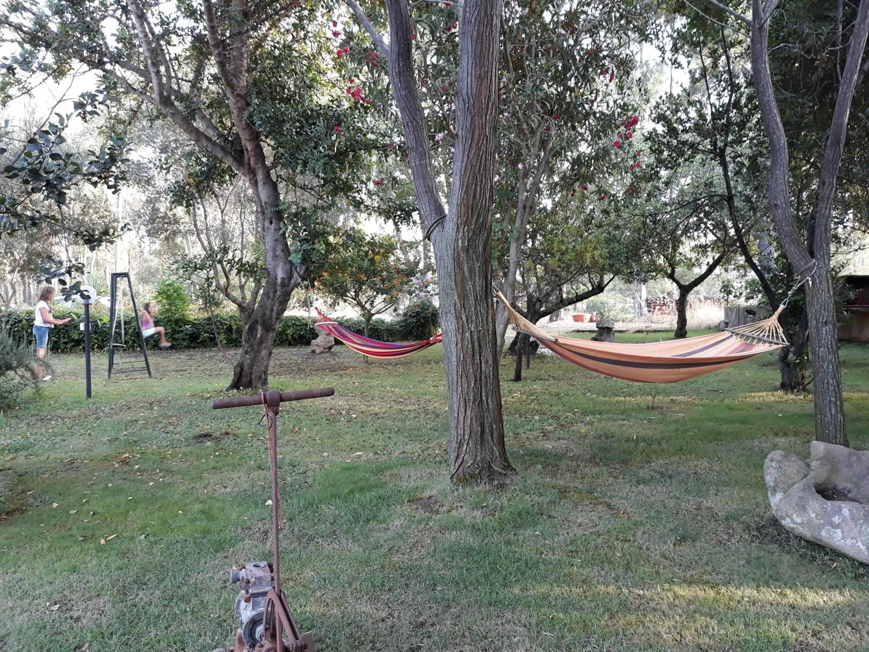 Garden in B&B Is Murdegus