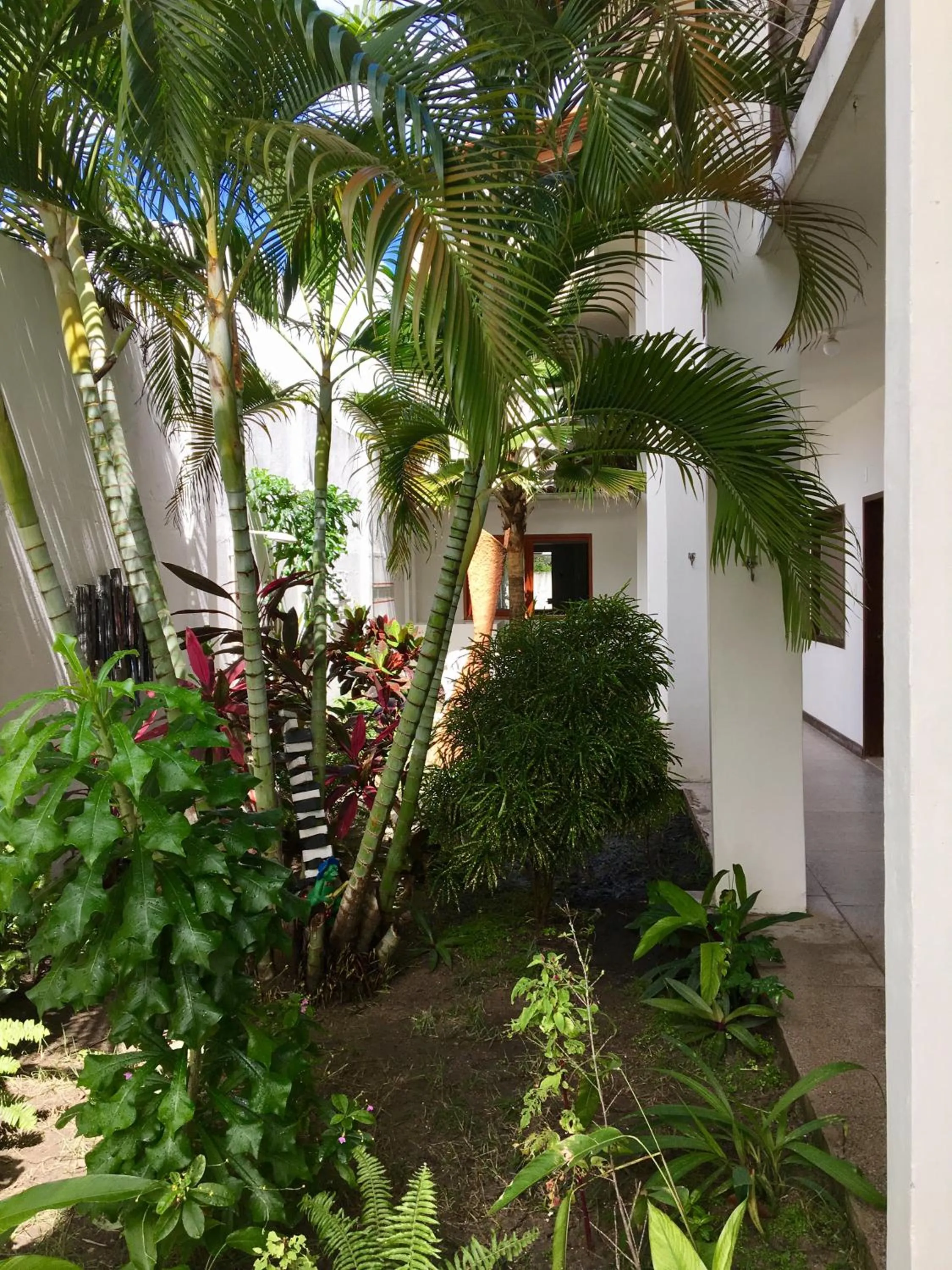 Garden in Pousada do Gunga