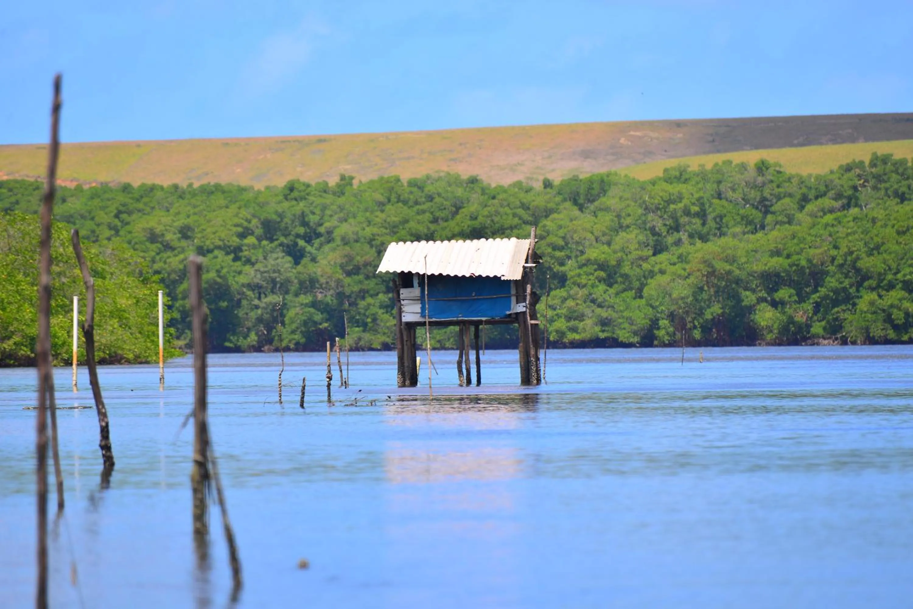 Natural landscape in Pousada do Gunga