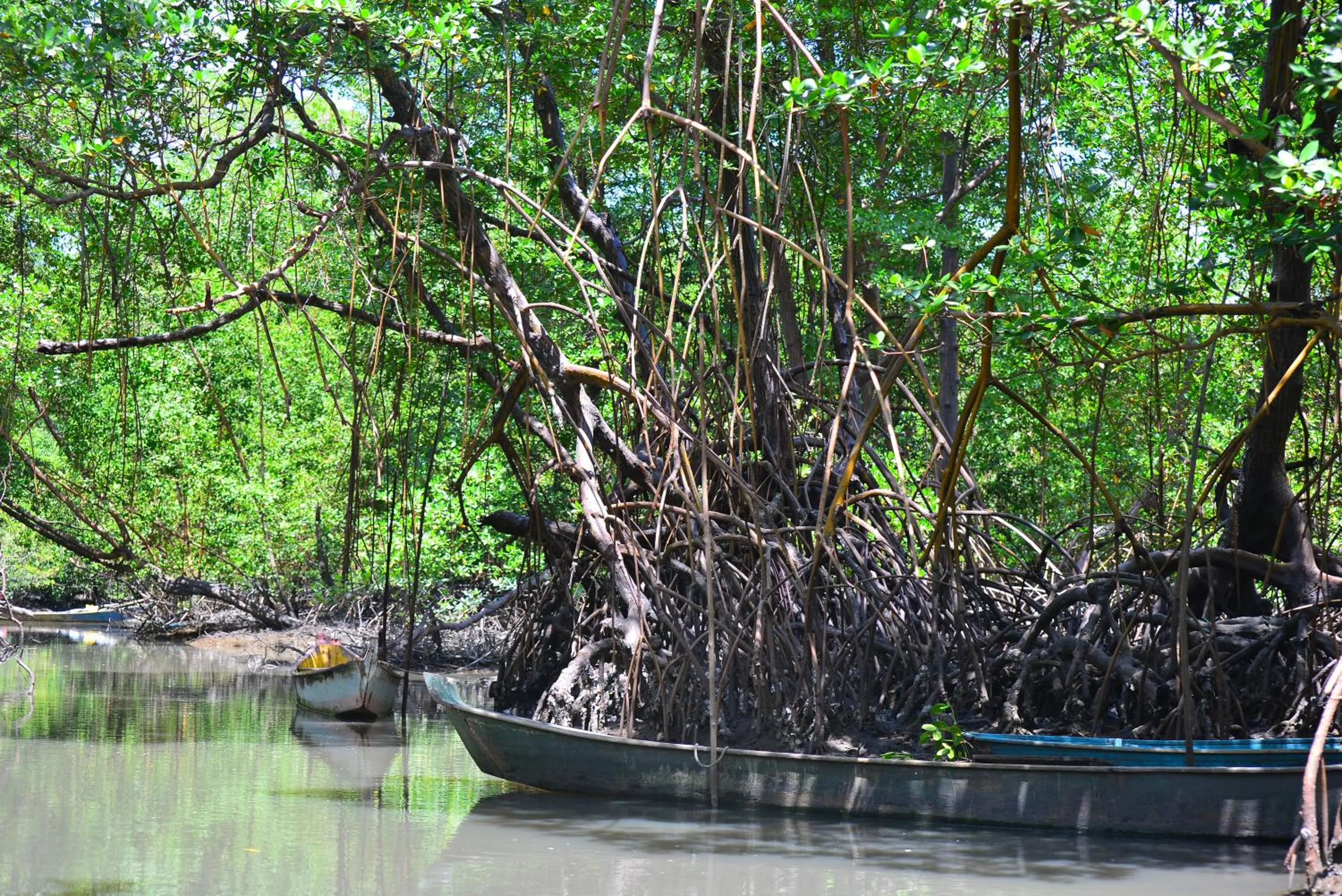 Natural landscape in Pousada do Gunga