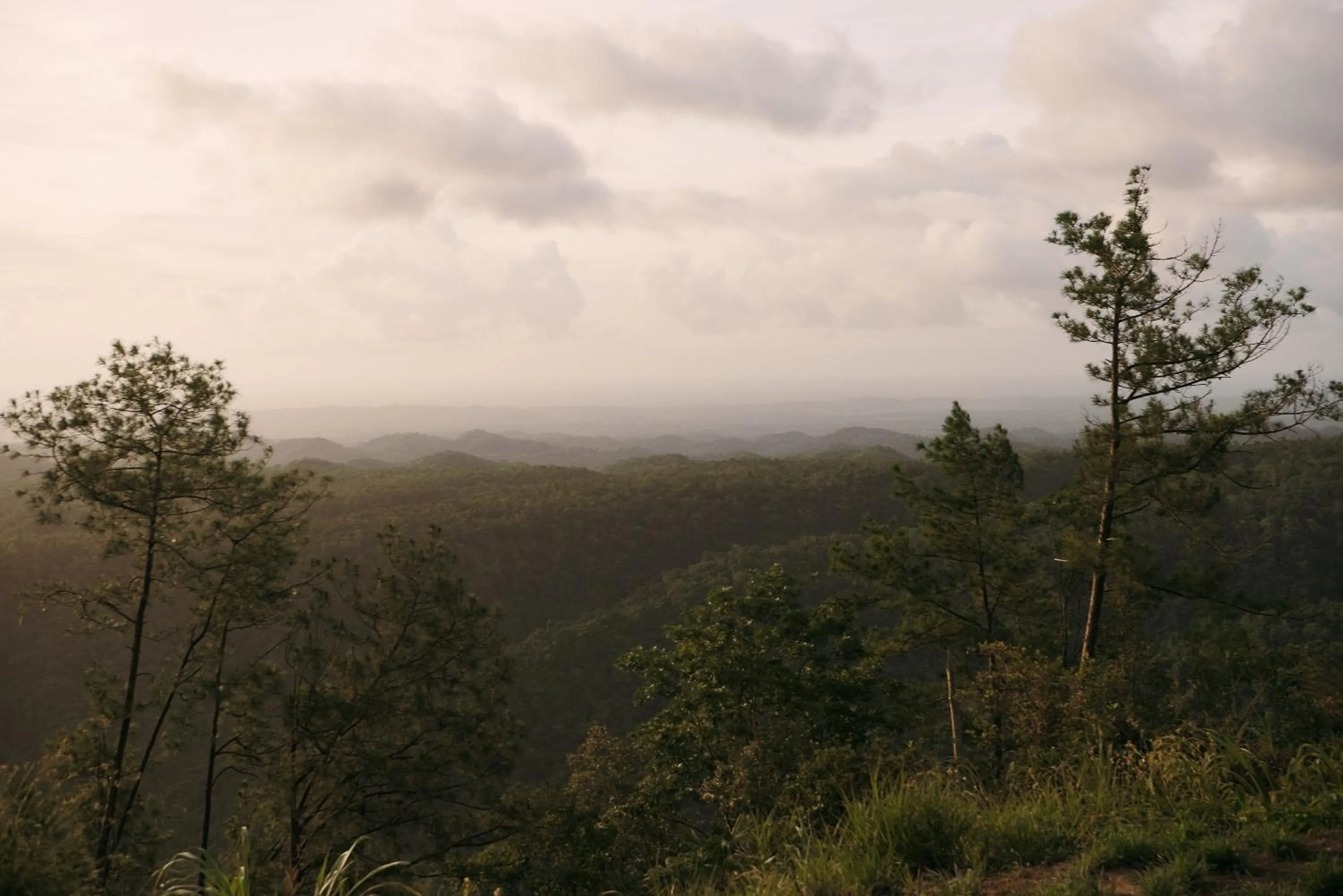 View (from property/room) in Hidden Valley Wilderness Lodge