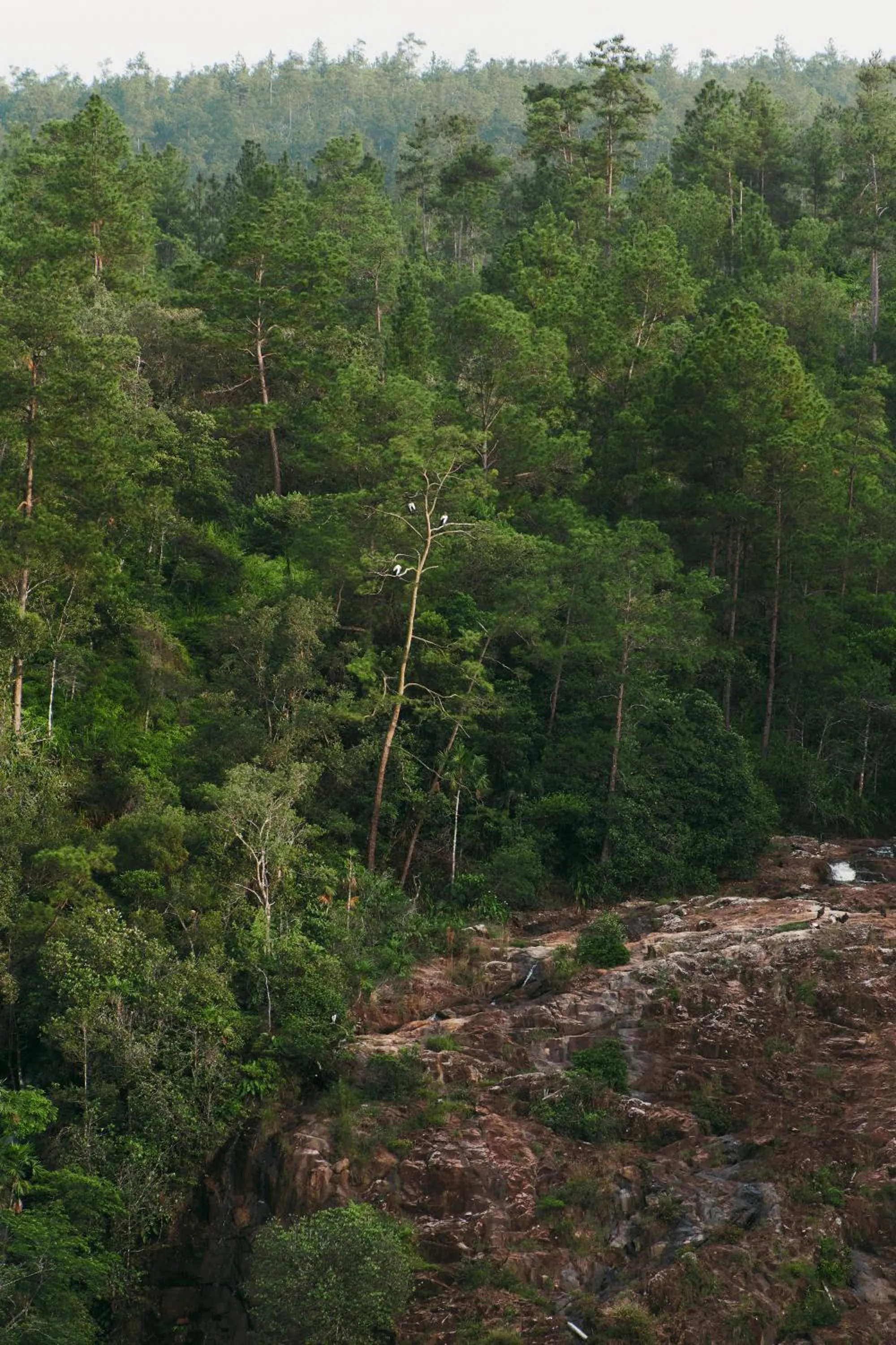 Spring in Hidden Valley Wilderness Lodge